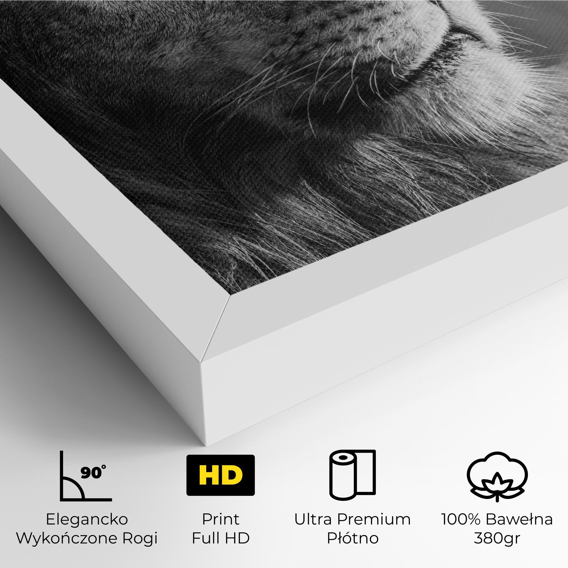 Obraz na Płótnie Grey Lion Head mockup 4