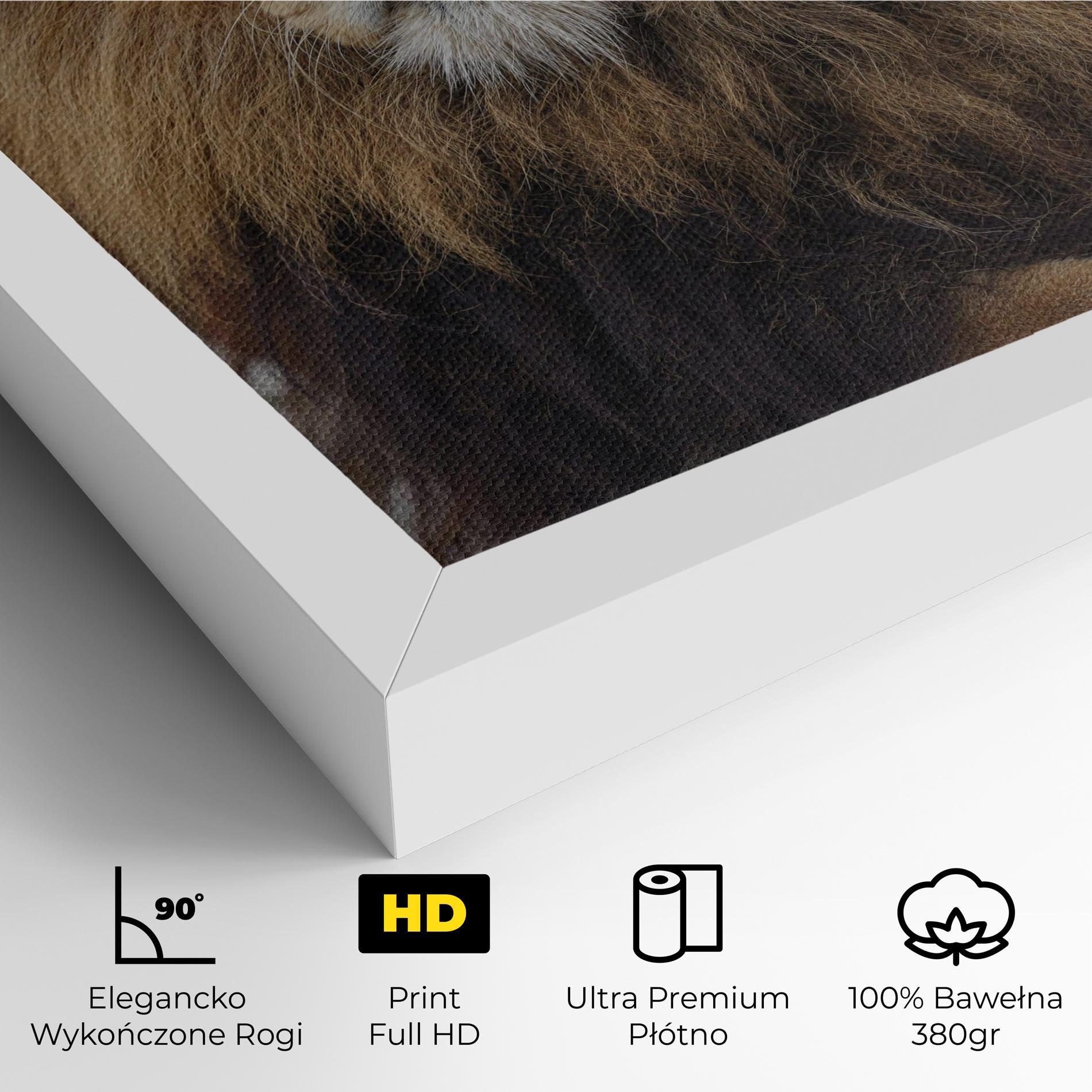 Obraz na Płótnie Lion Chilling mockup 4