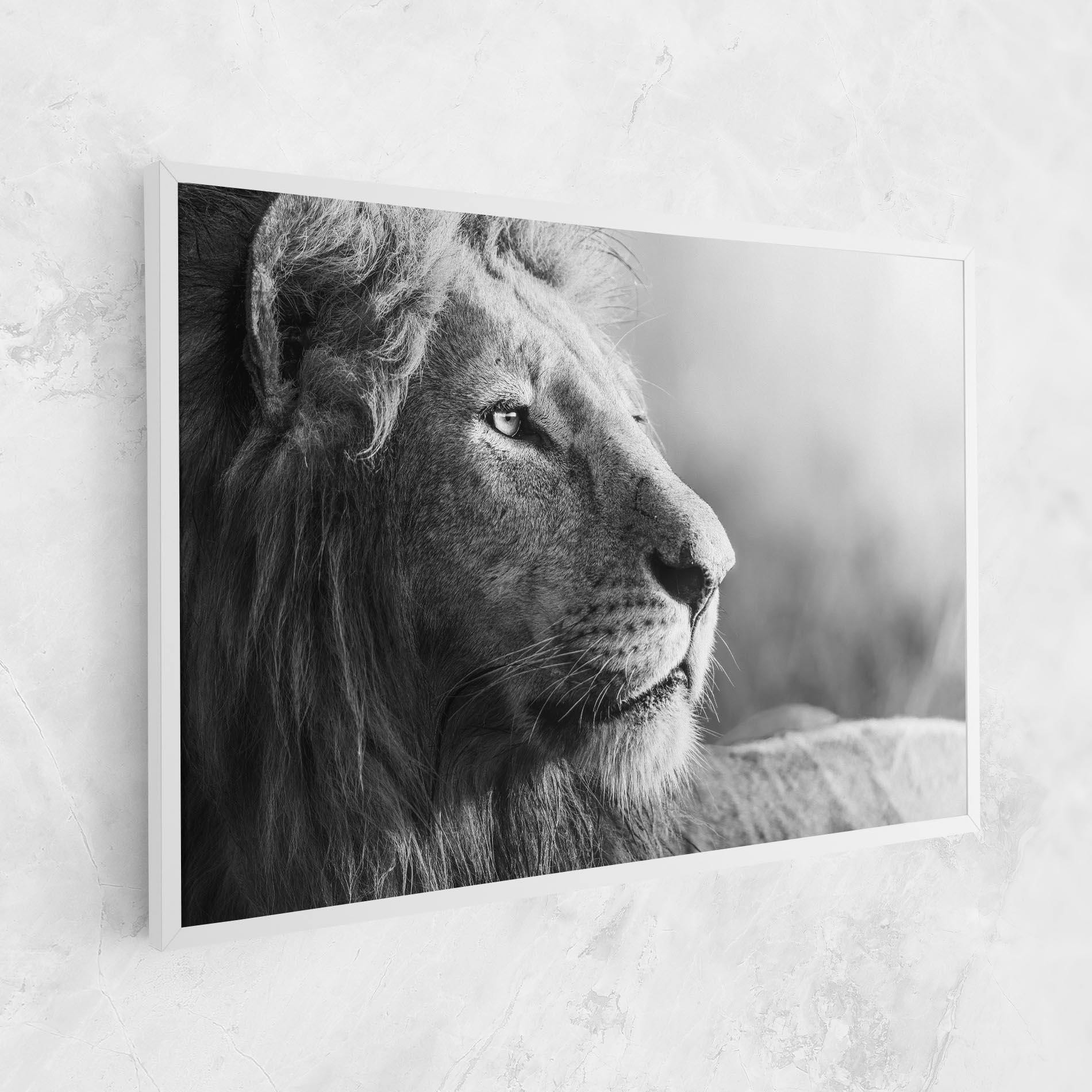 Obraz na Płótnie Grey Lion Head mockup 1