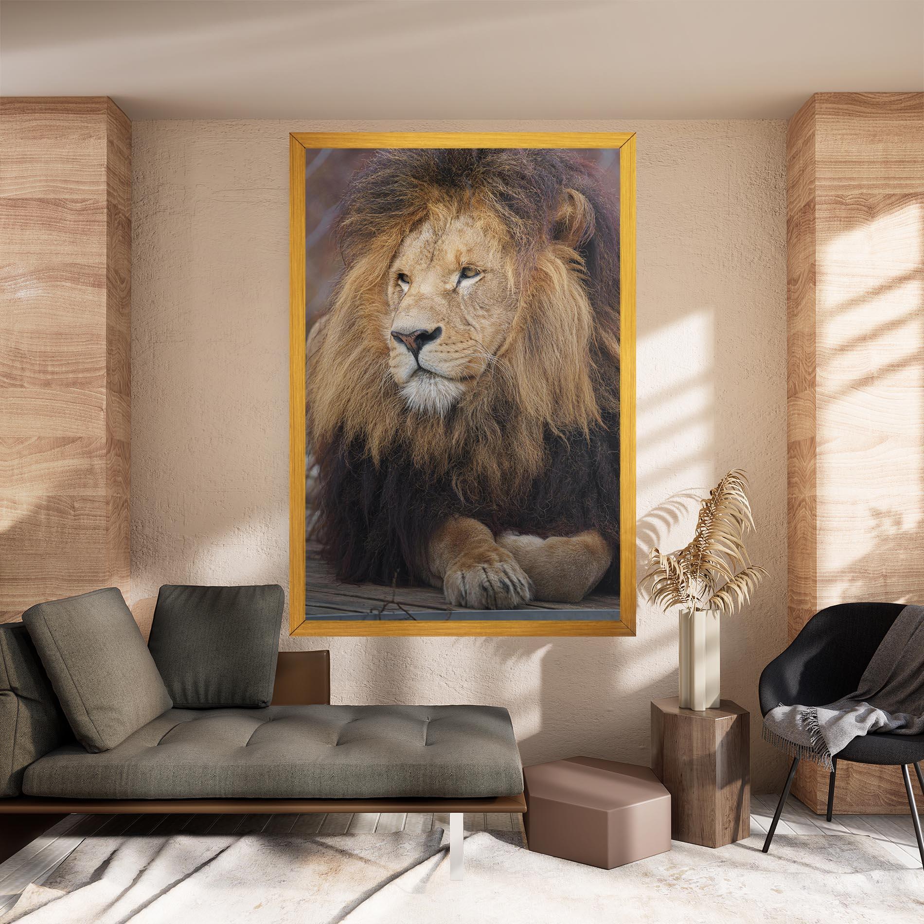 Obraz na Płótnie Lion Chilling mockup 8
