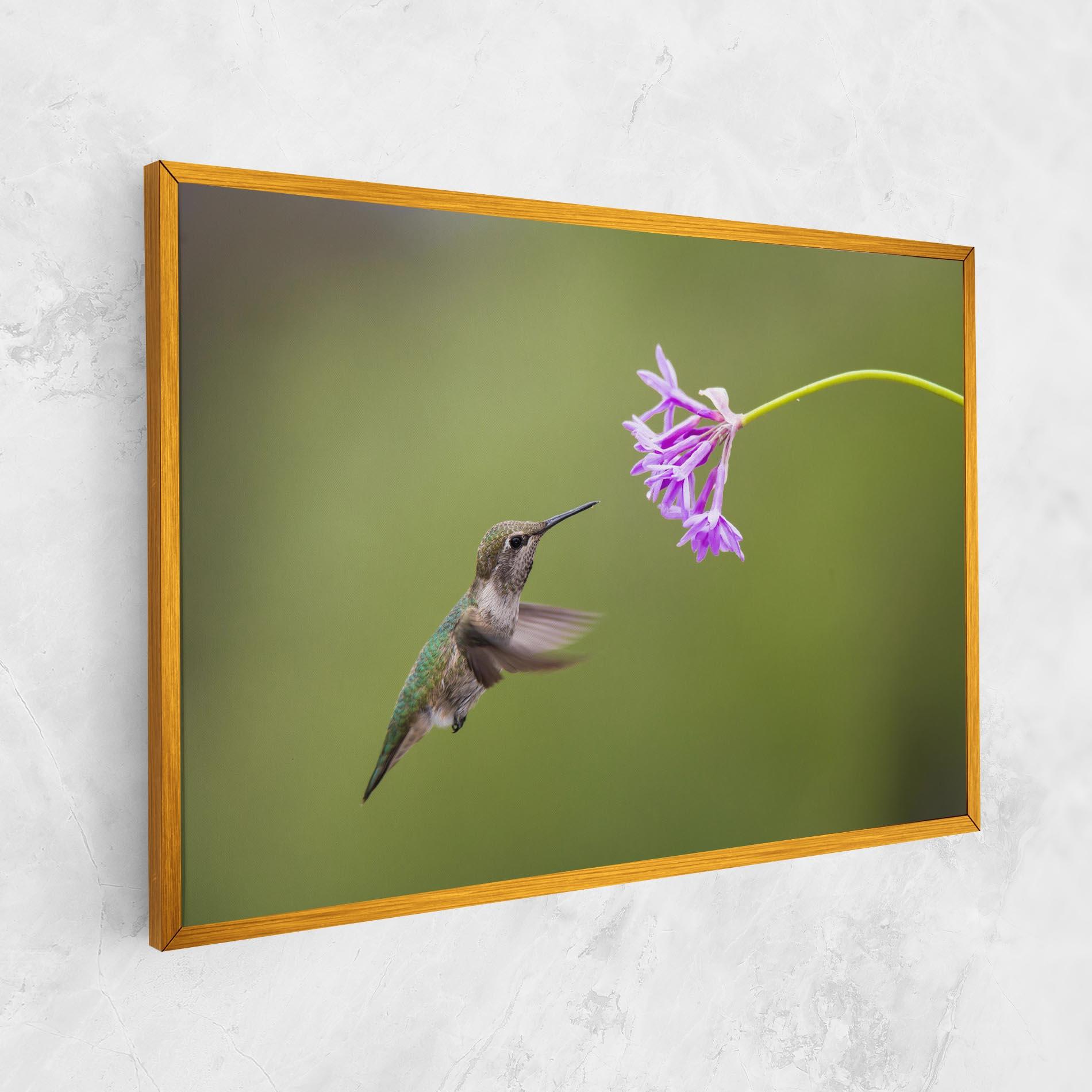 Obraz na Płótnie Cute Hummingbird mockup 1