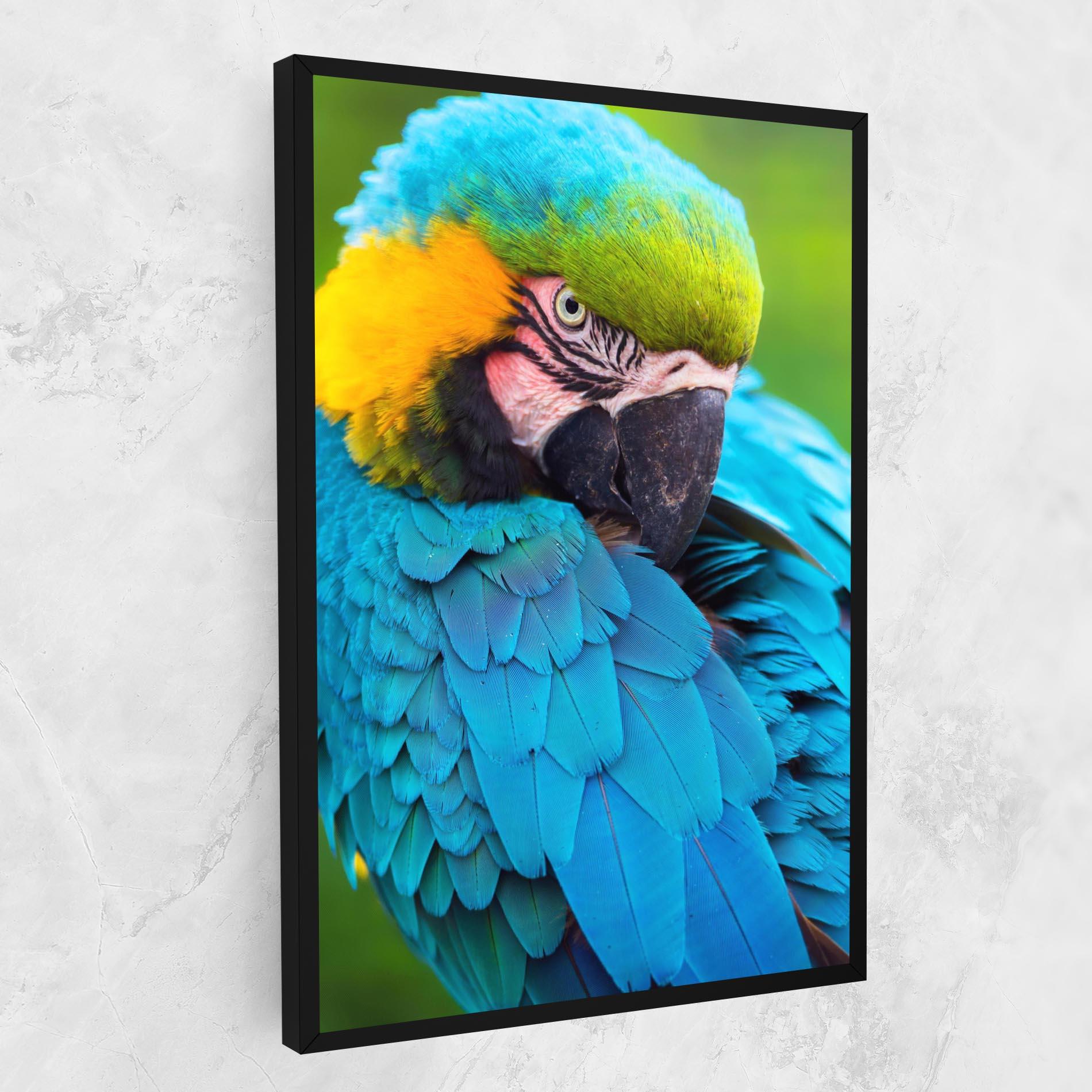 Obraz na Płótnie Blue Parrot mockup 1