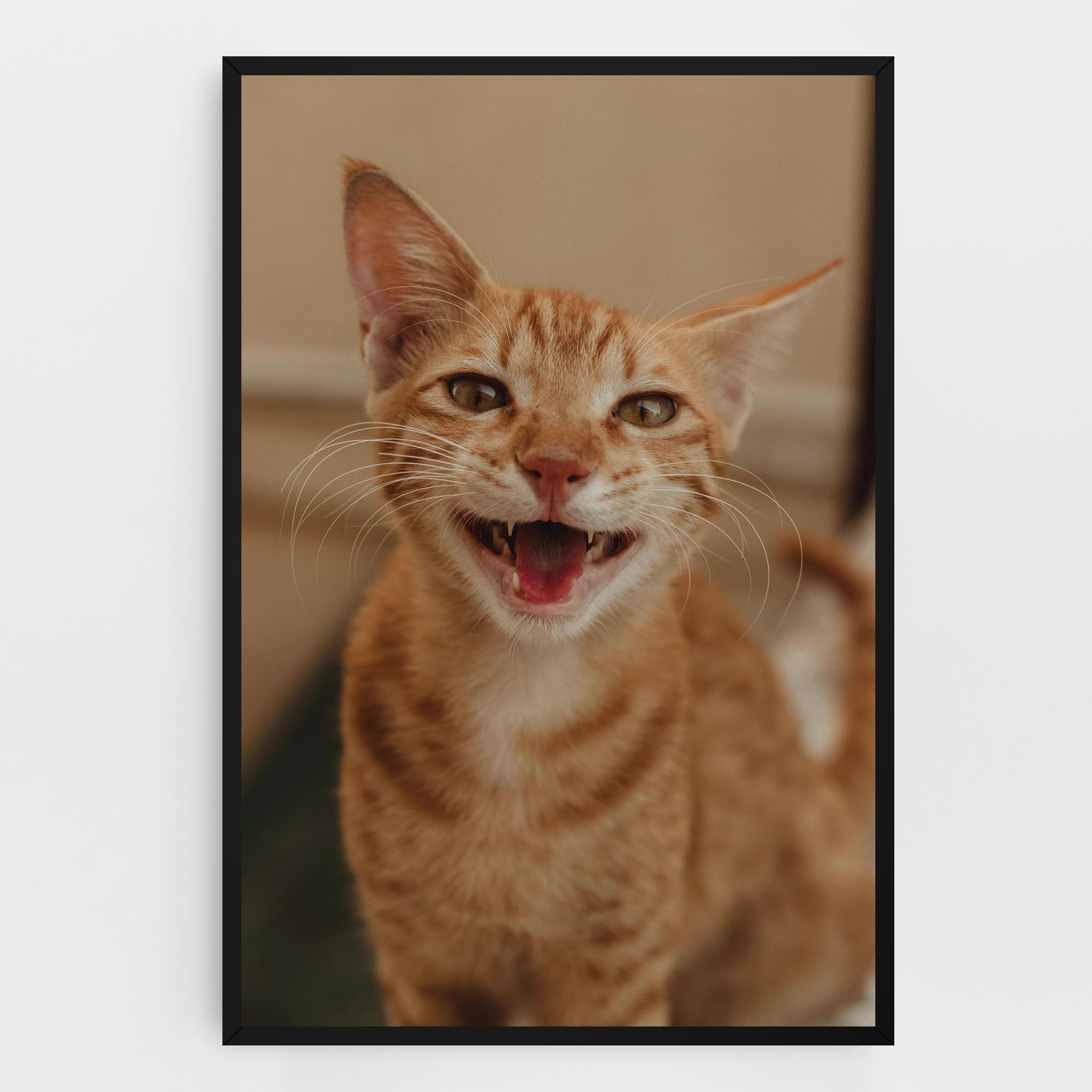 Obraz na Płótnie Orange Cat Smiling mockup 0