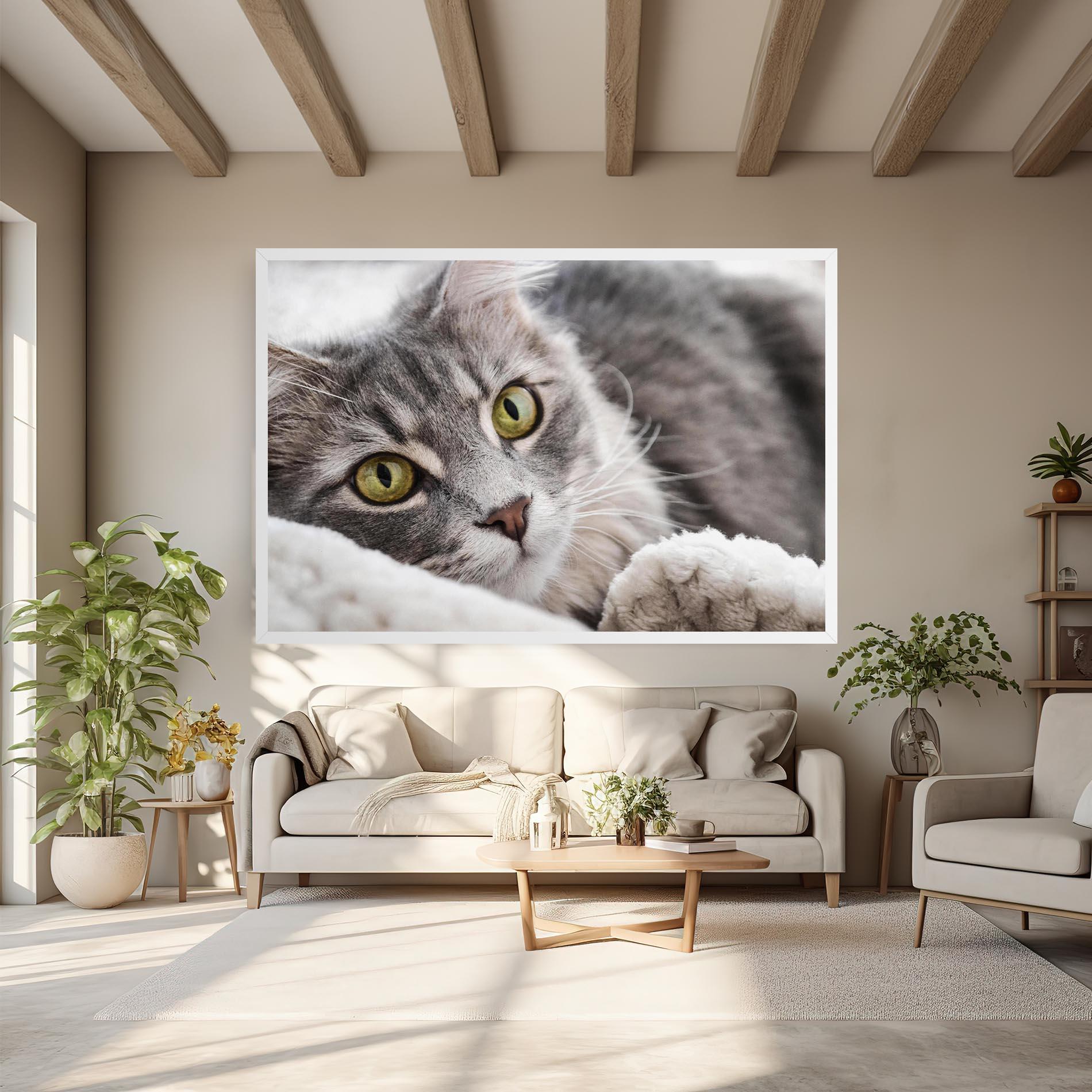Obraz na Płótnie Grey Fluffy Cat mockup 6