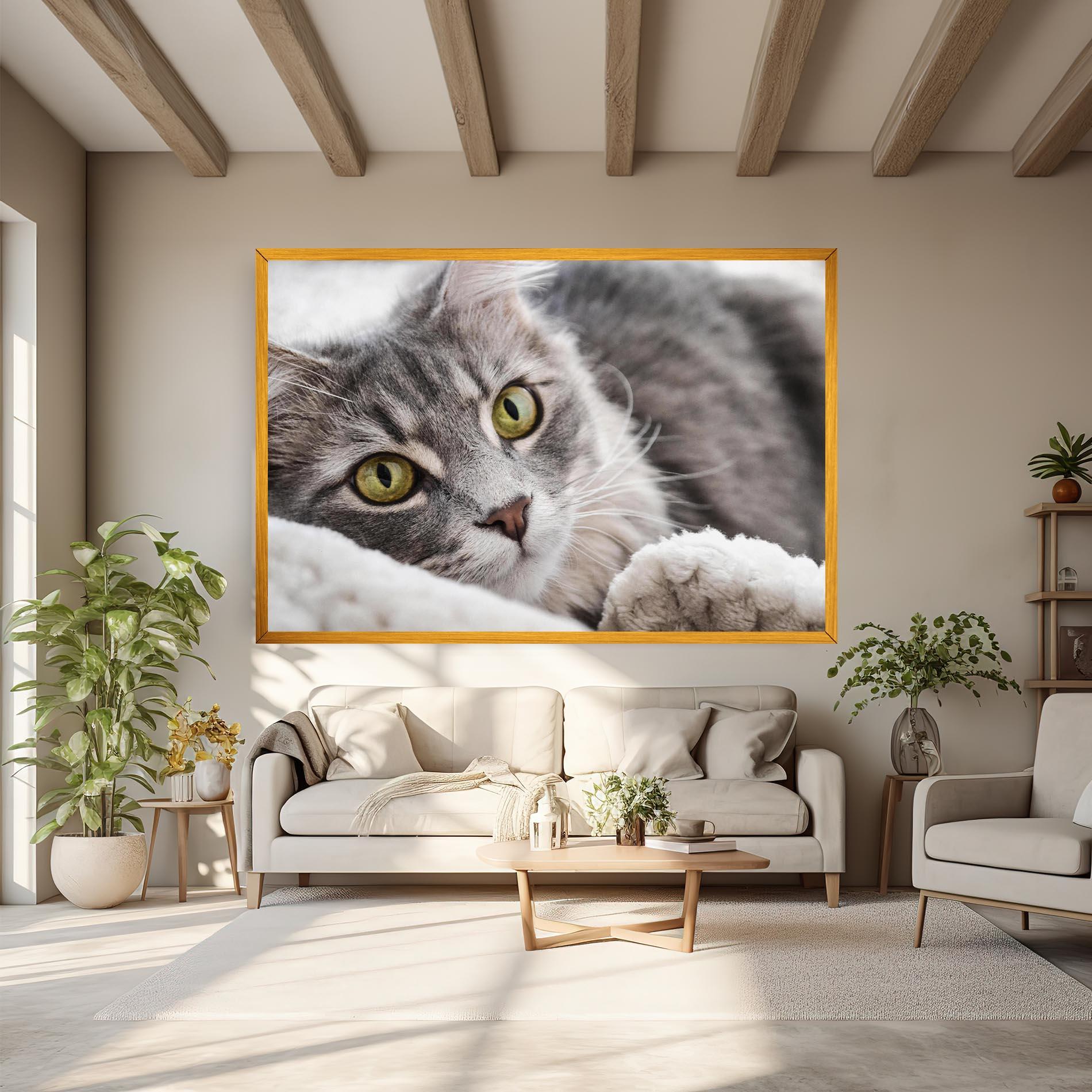 Obraz na Płótnie Grey Fluffy Cat mockup 6