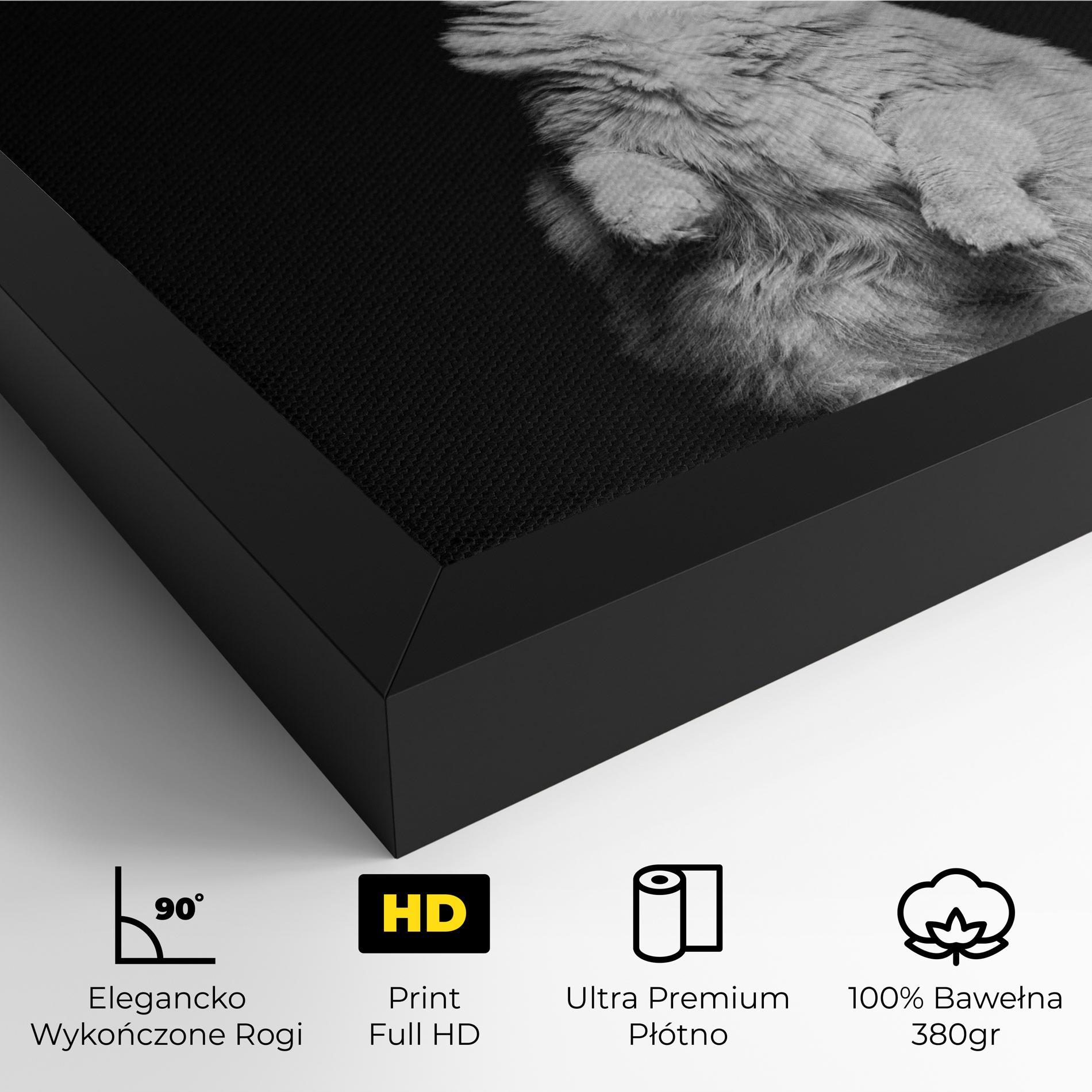 Obraz na Płótnie Big Fluffy Cat mockup 4