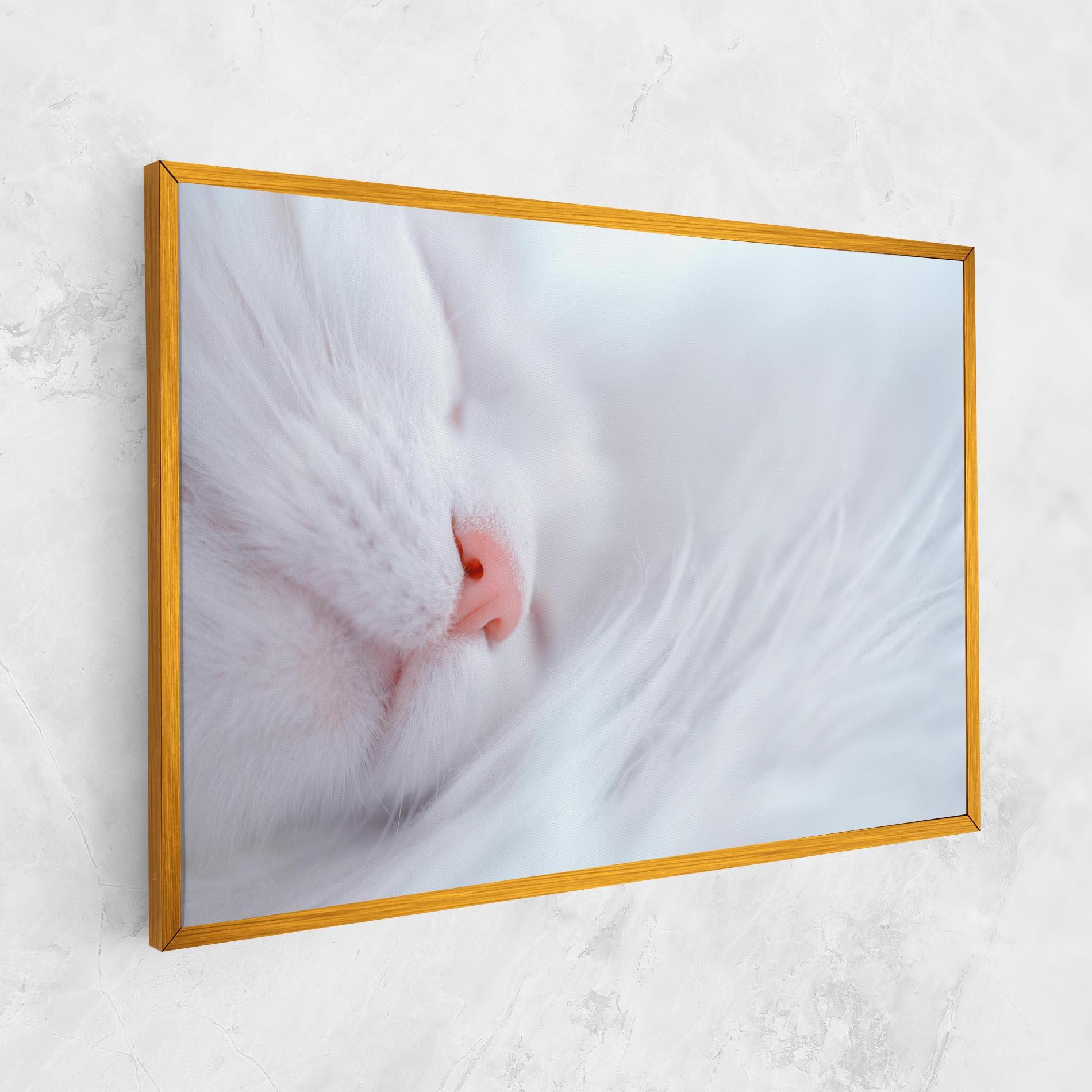 Obraz na Płótnie Dreamy White Cat mockup 1