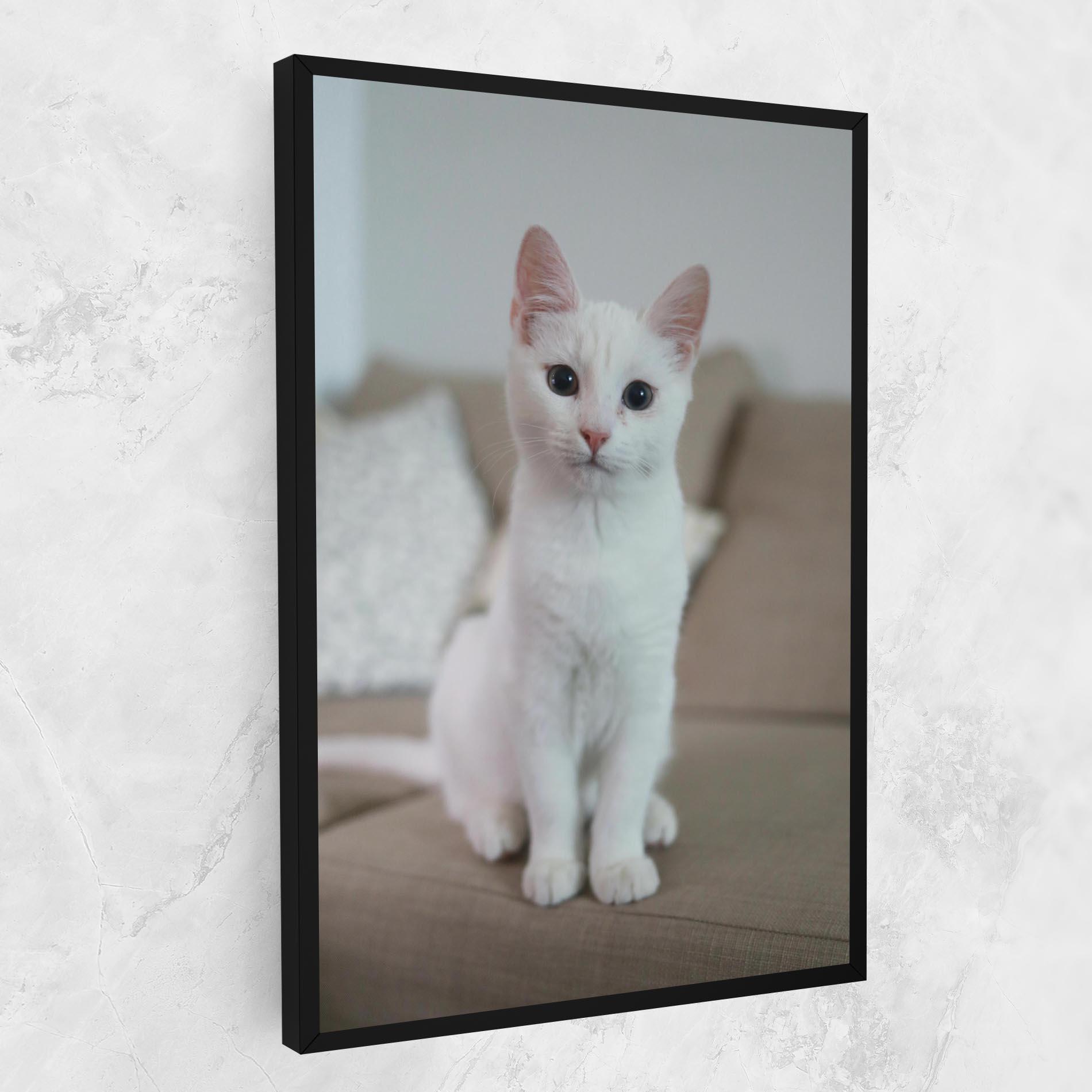 Obraz na Płótnie Beautiful White Cat mockup 1