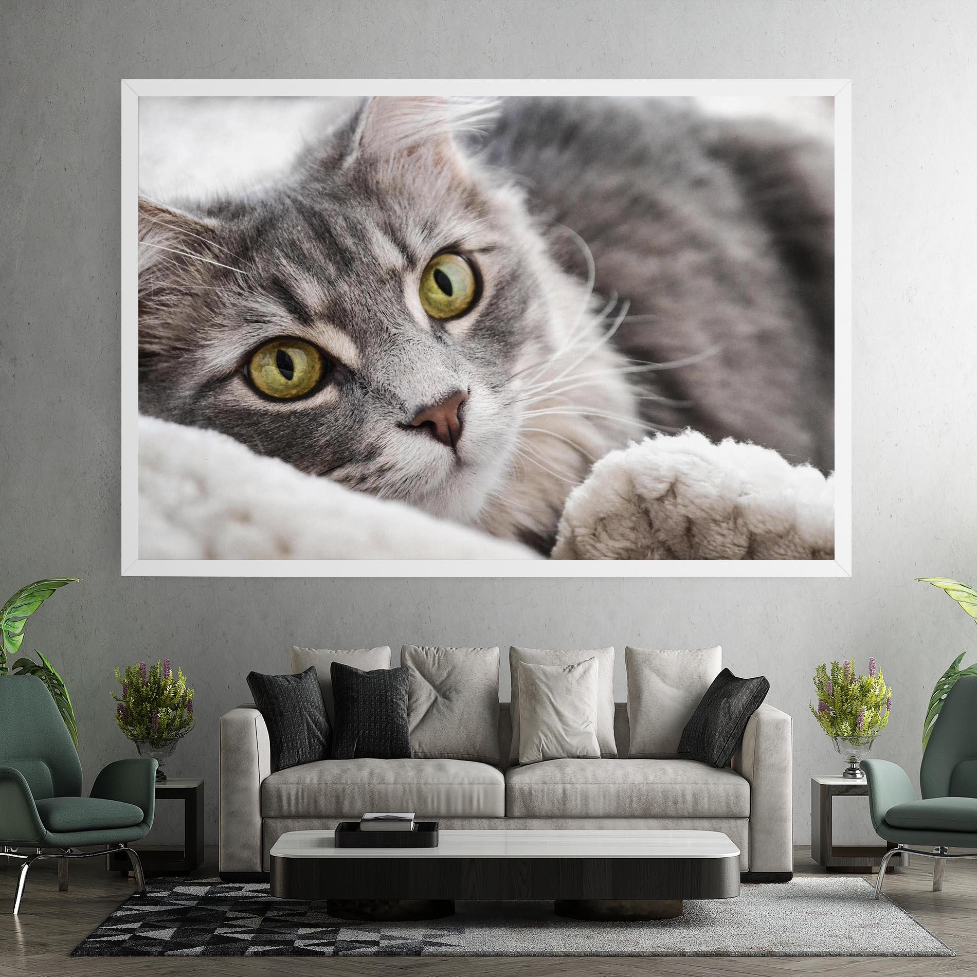 Obraz na Płótnie Grey Fluffy Cat mockup 7