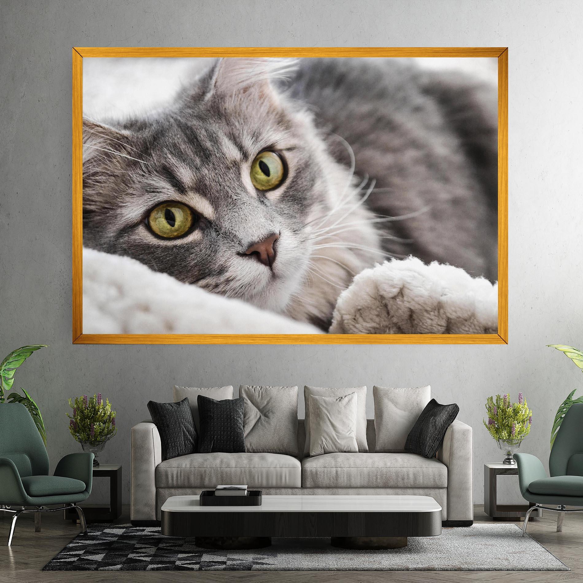 Obraz na Płótnie Grey Fluffy Cat mockup 7