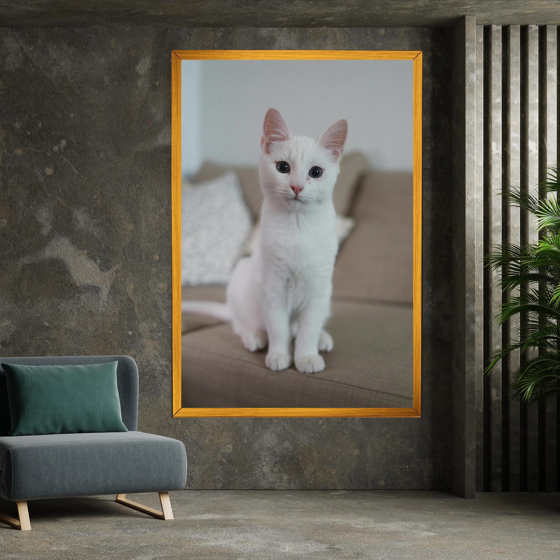 Obraz na Płótnie Beautiful White Cat mockup 7