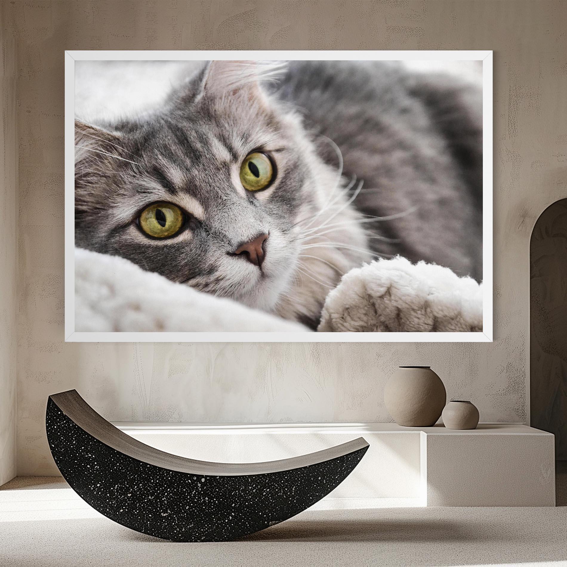 Obraz na Płótnie Grey Fluffy Cat mockup 8