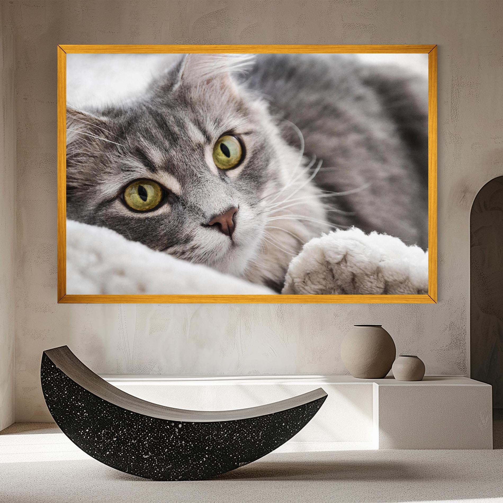 Obraz na Płótnie Grey Fluffy Cat mockup 8