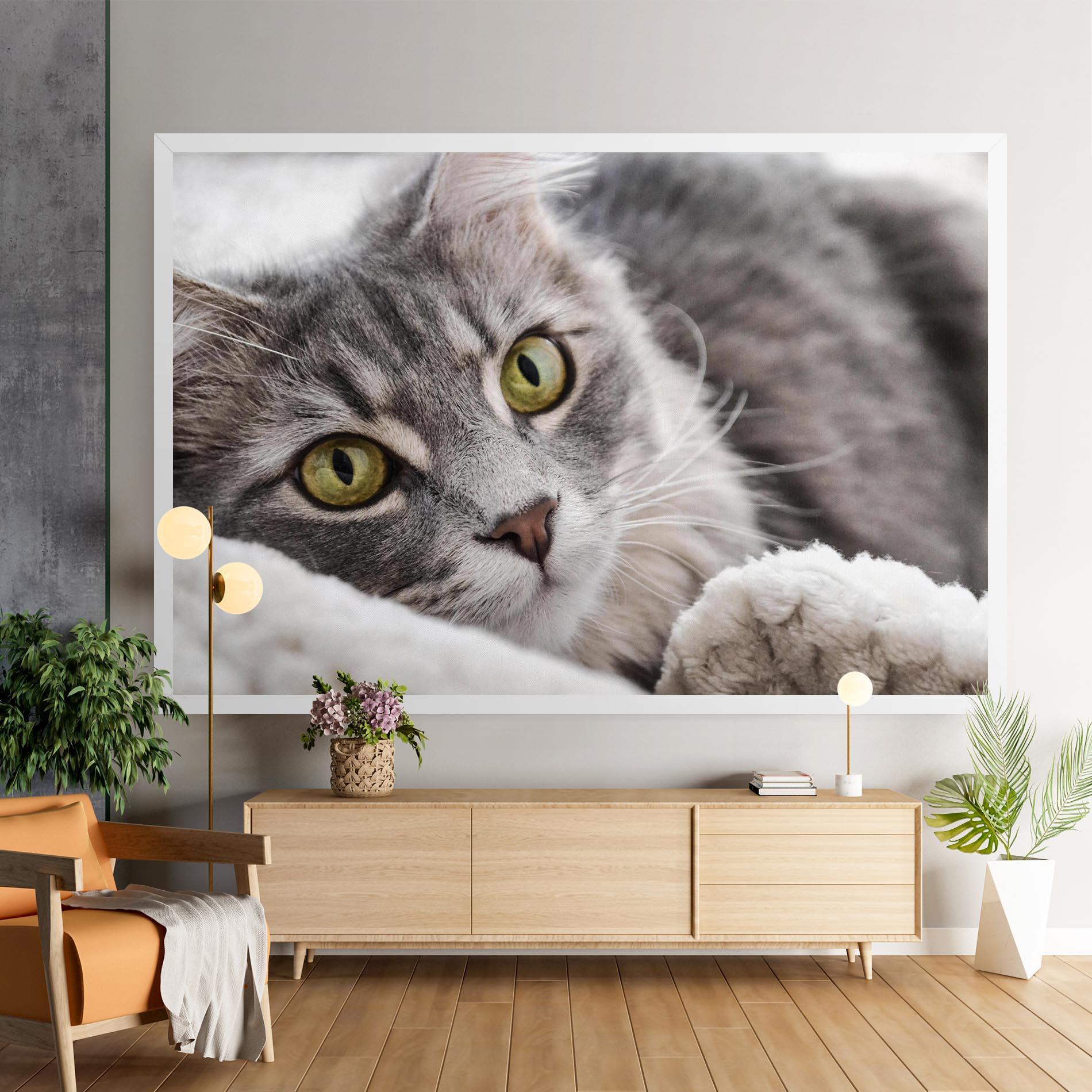 Obraz na Płótnie Grey Fluffy Cat mockup 9