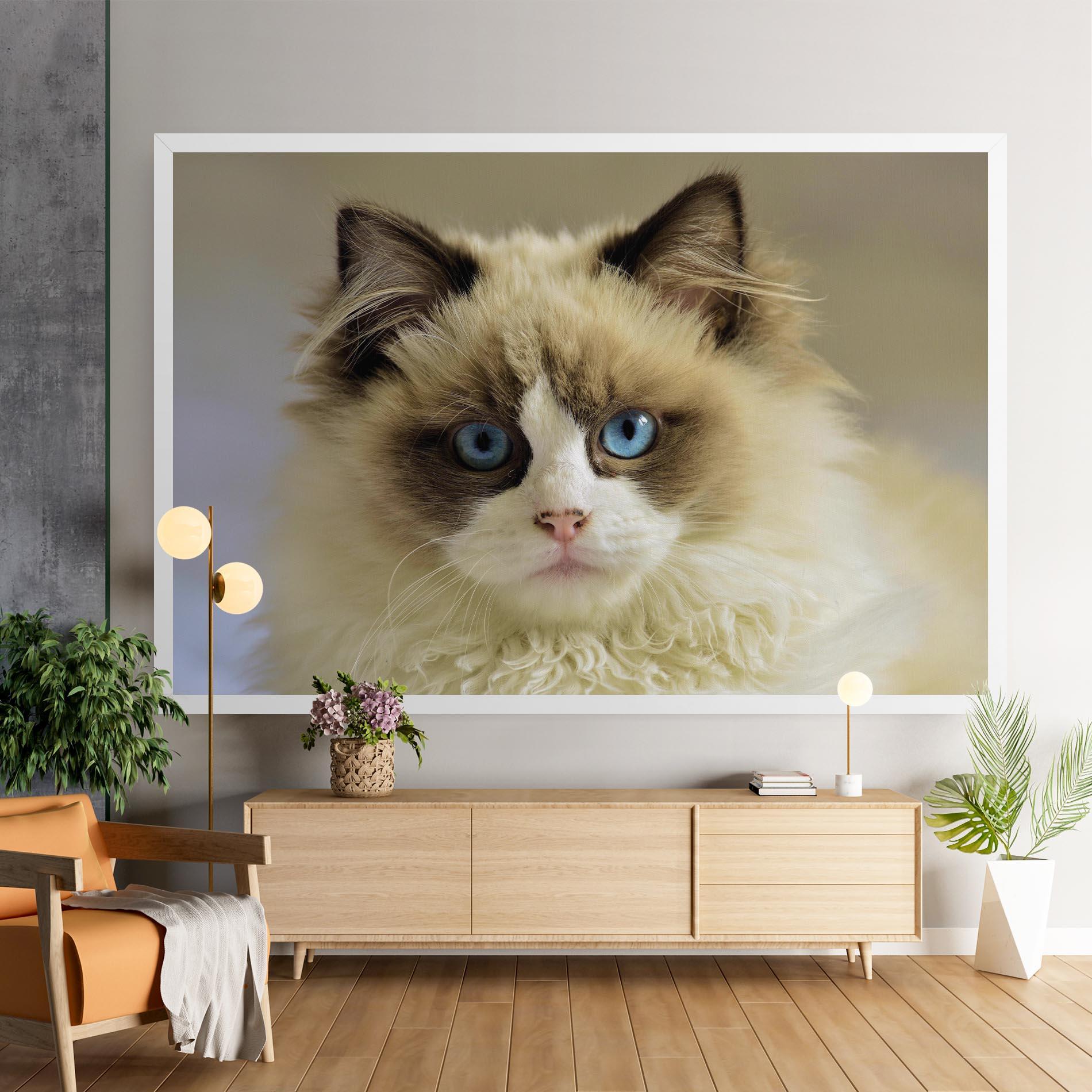 Obraz na Płótnie Interesting Blue Eyes Cat mockup 9