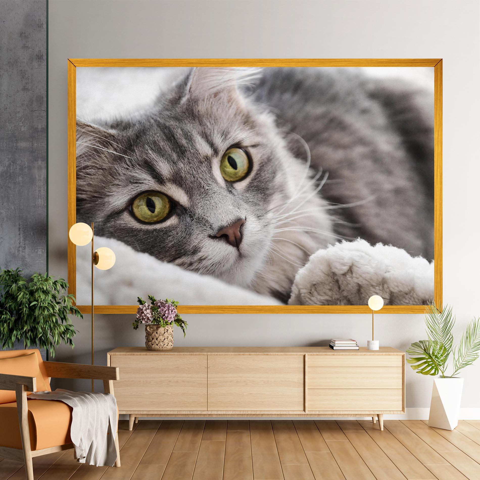 Obraz na Płótnie Grey Fluffy Cat mockup 9