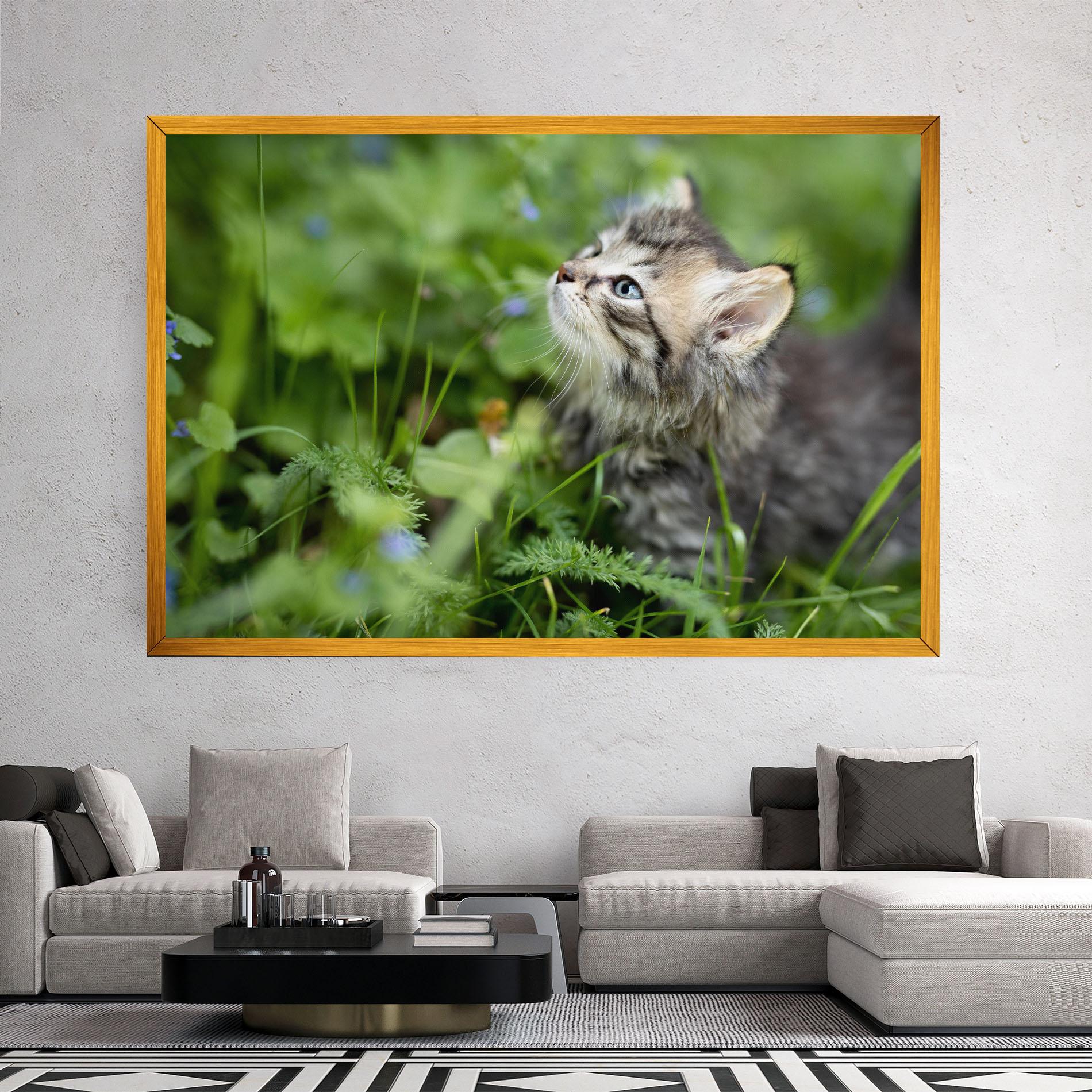 Obraz na Płótnie Brown Baby Cat mockup 2