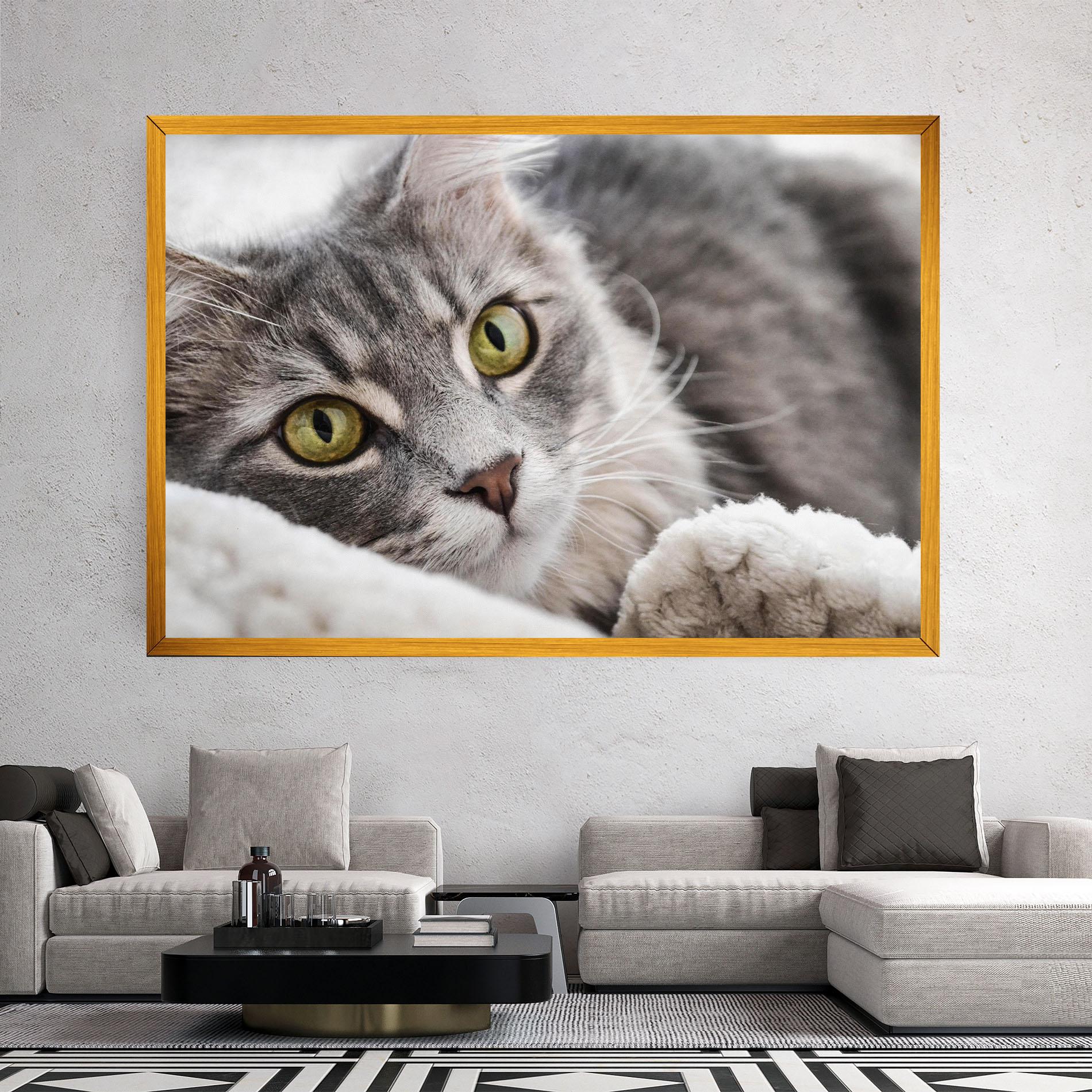 Obraz na Płótnie Grey Fluffy Cat mockup 2