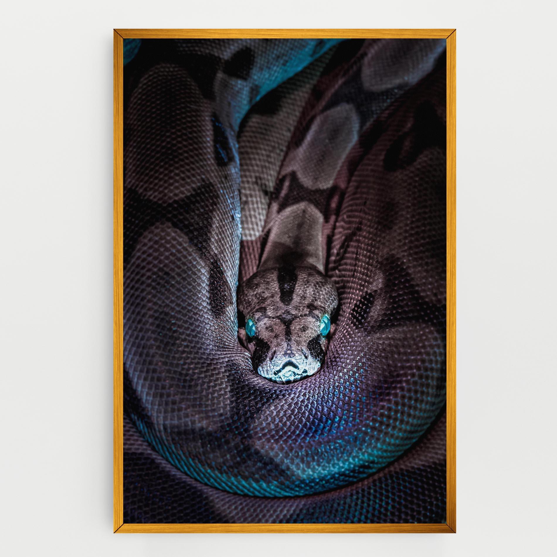 Obraz na Płótnie Vibrant Snake mockup 0