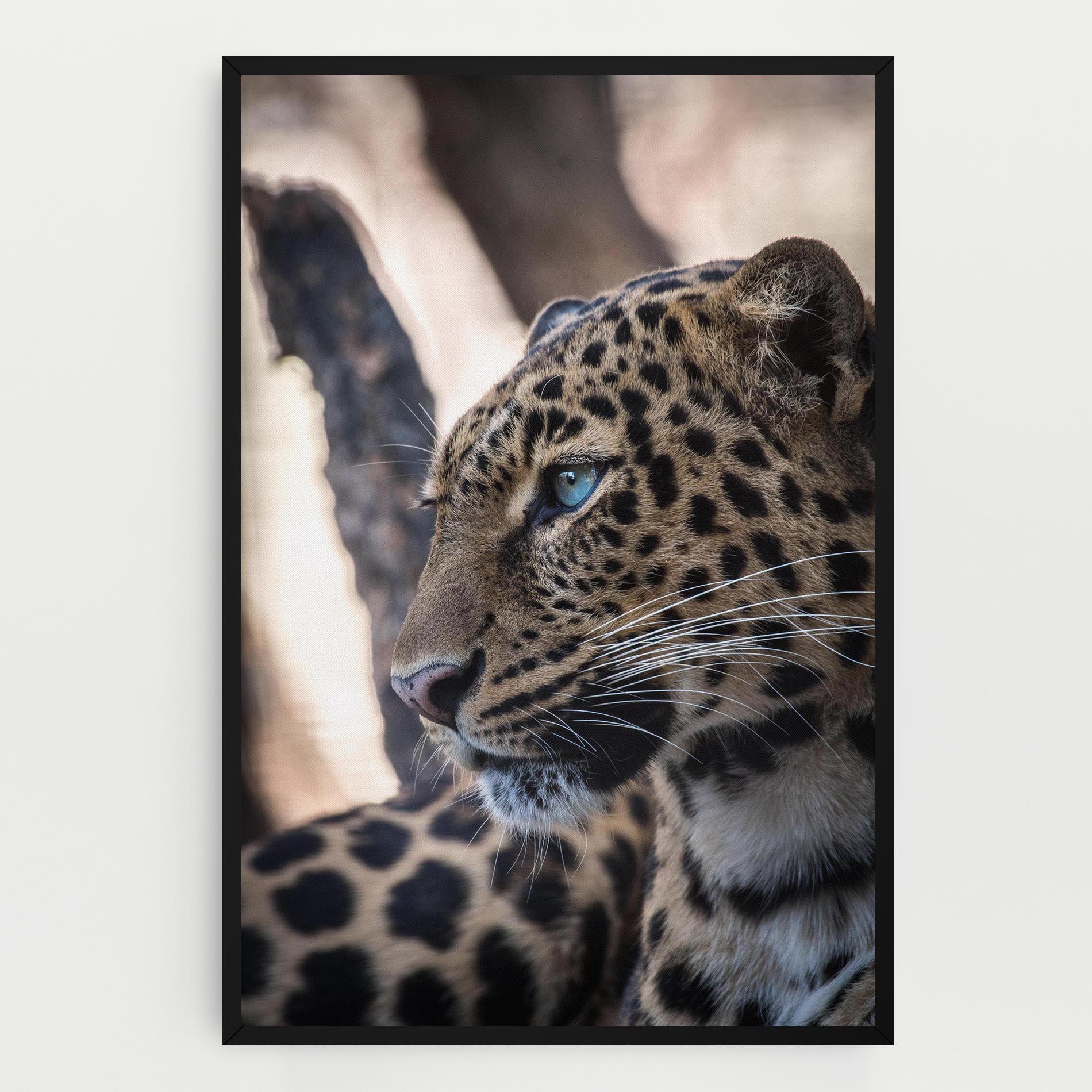 Obraz na Płótnie Blue Tiger mockup 0