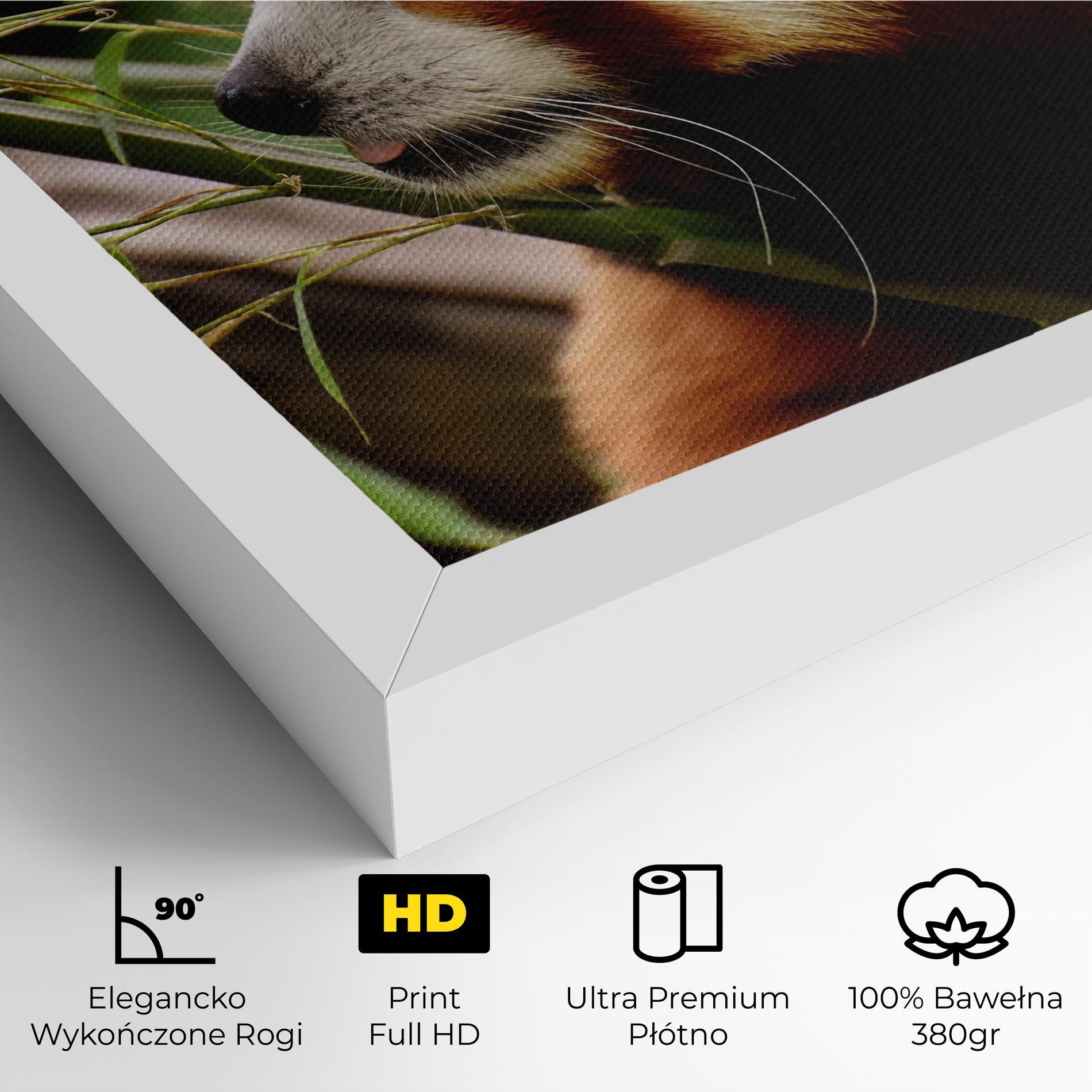 Obraz na Płótnie Cute Red Panda mockup 4