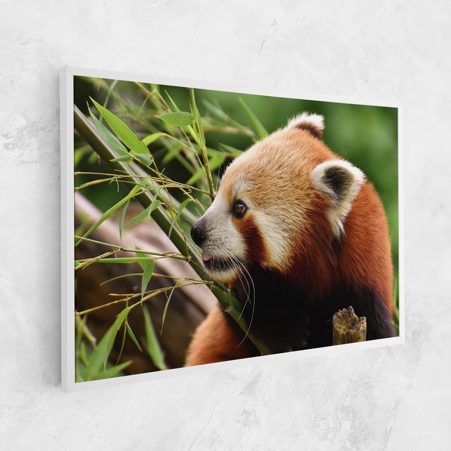 Obraz na Płótnie Cute Red Panda mockup 1