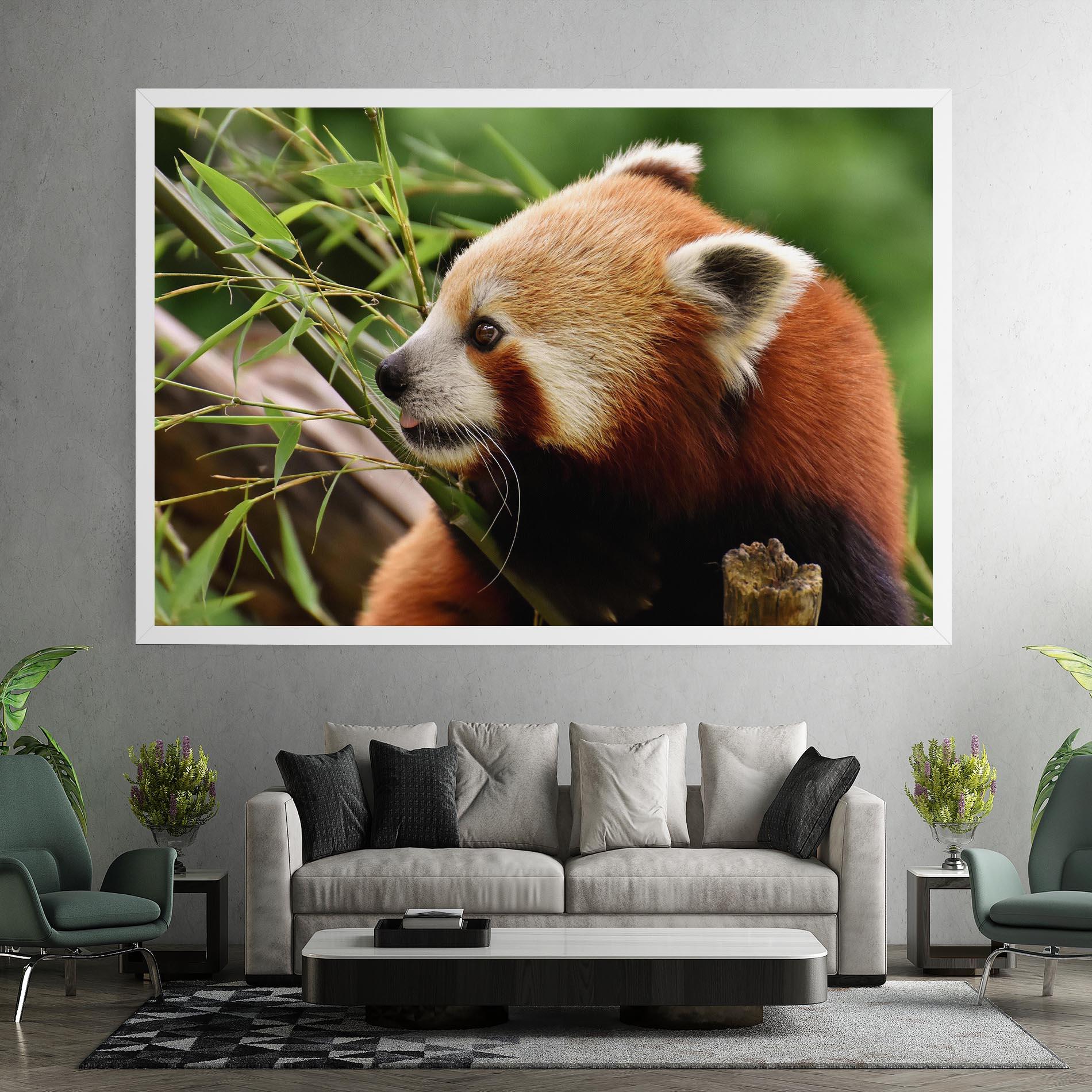Obraz na Płótnie Cute Red Panda mockup 7