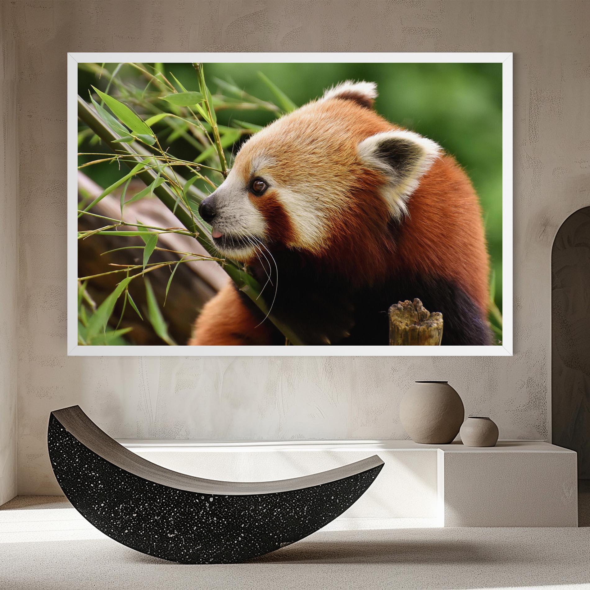 Obraz na Płótnie Cute Red Panda mockup 8
