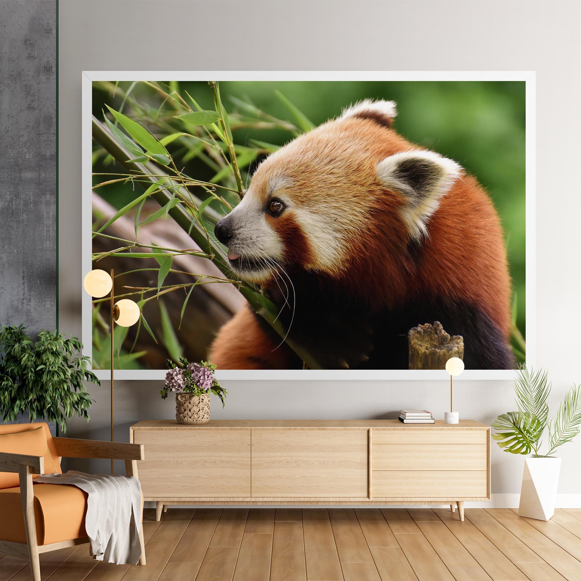 Obraz na Płótnie Cute Red Panda mockup 9