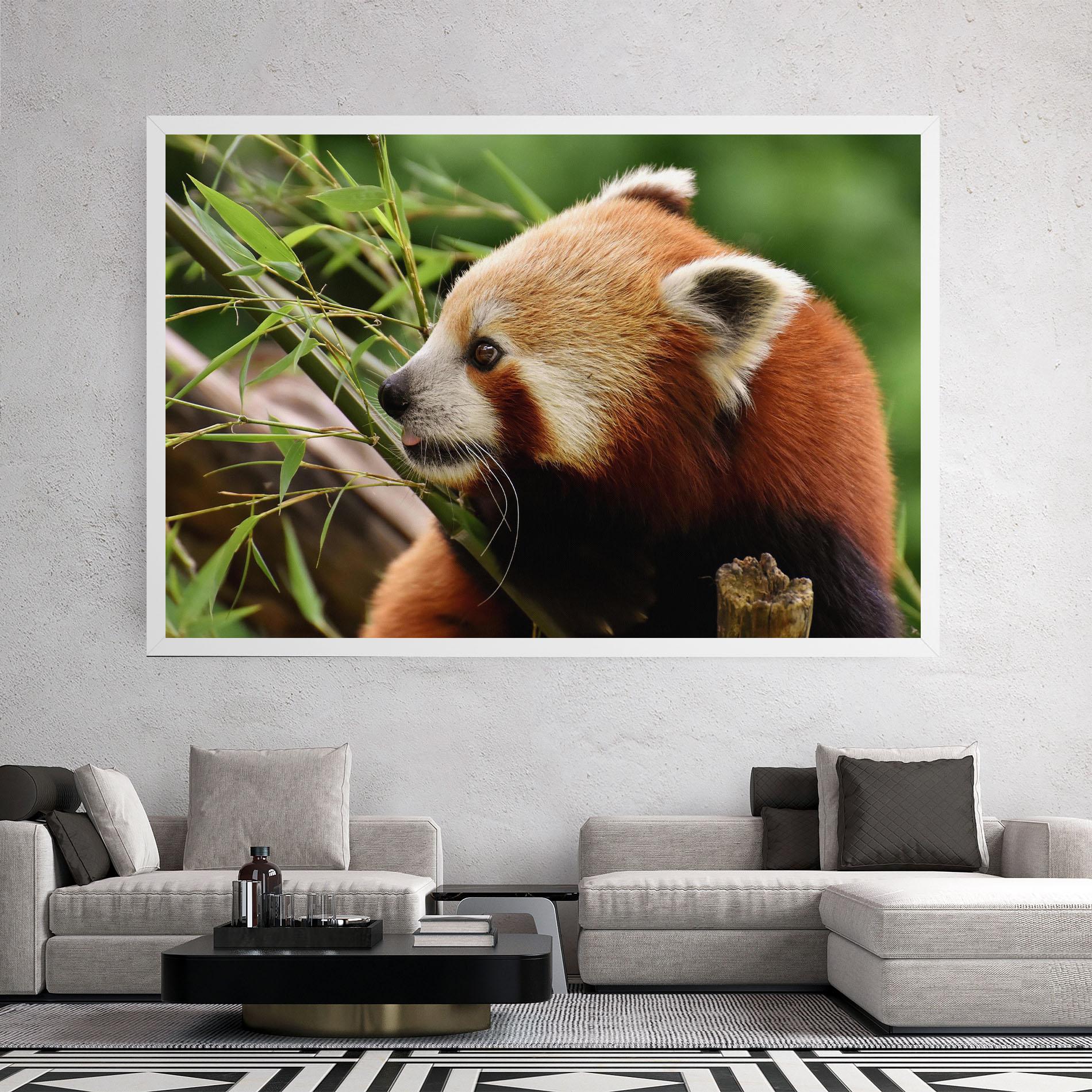 Obraz na Płótnie Cute Red Panda mockup 2
