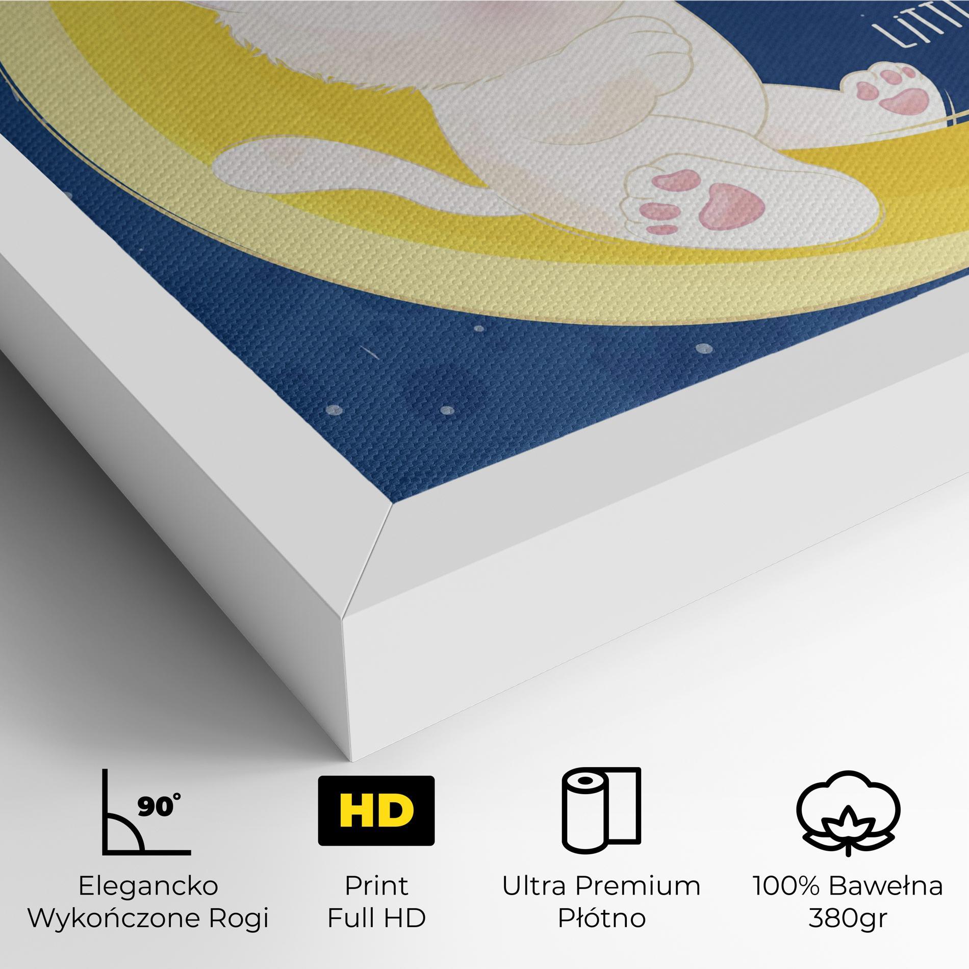 Obraz na Płótnie Cat Moon Star mockup 4