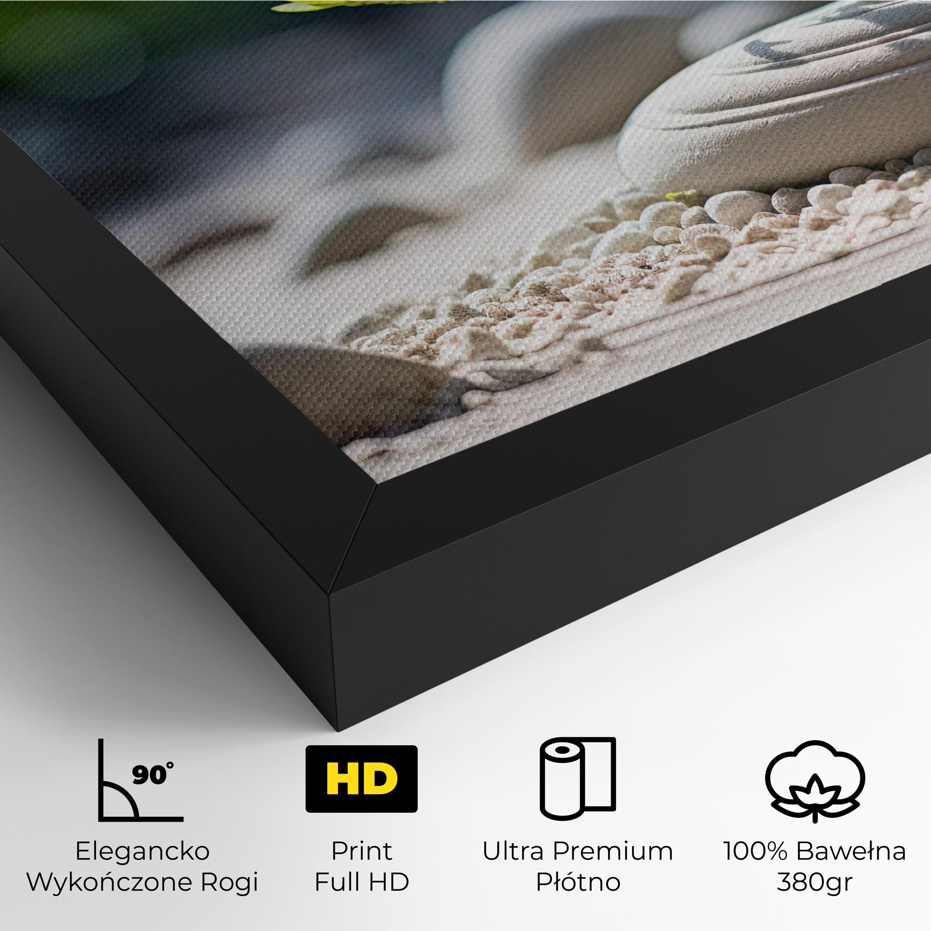 White Pebbles Plants mockup 4