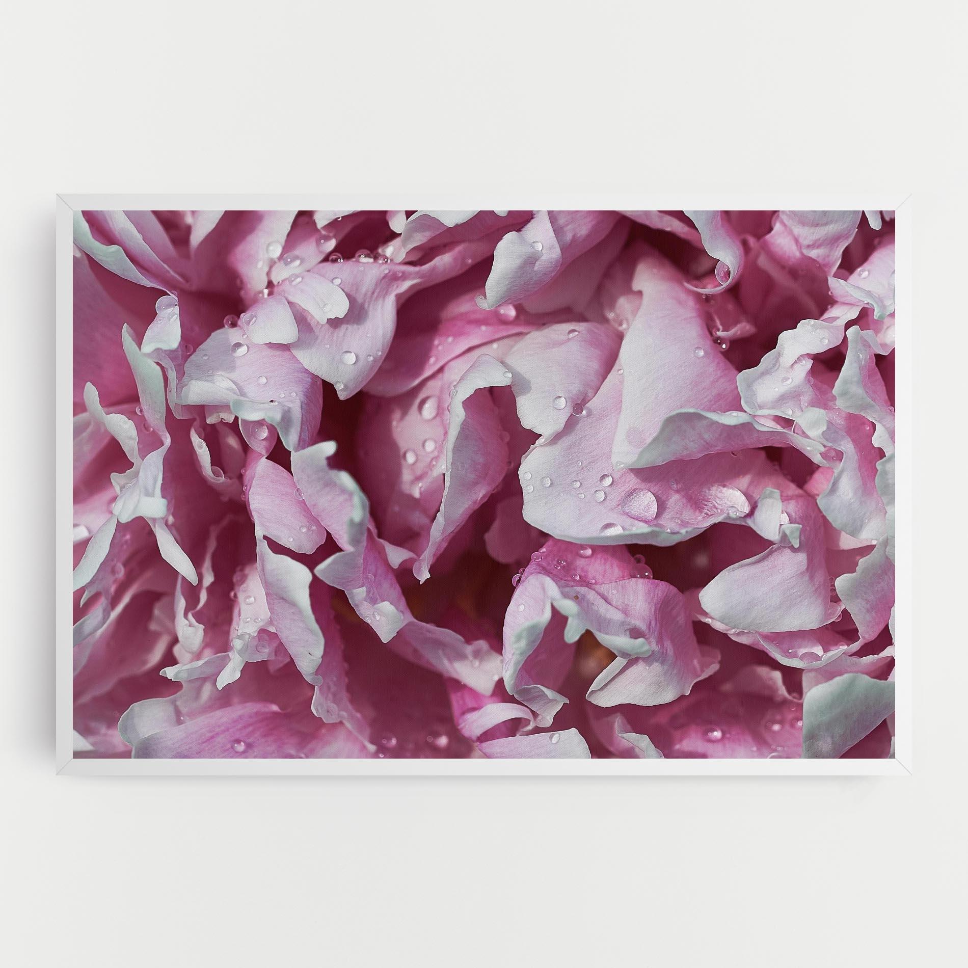 Obraz na Płótnie Peony Petals mockup 0
