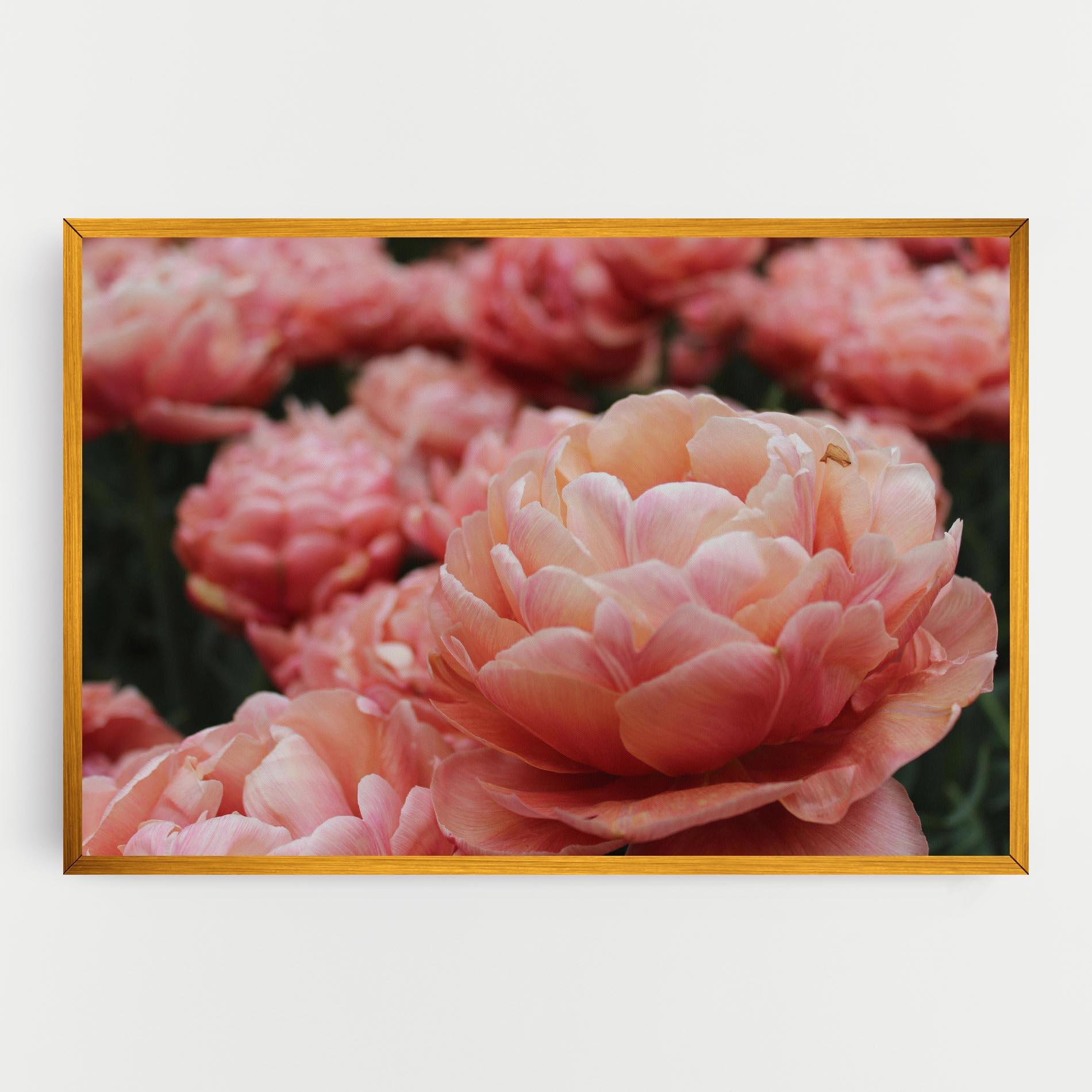 Obraz na Płótnie Light Orange Peony mockup 0