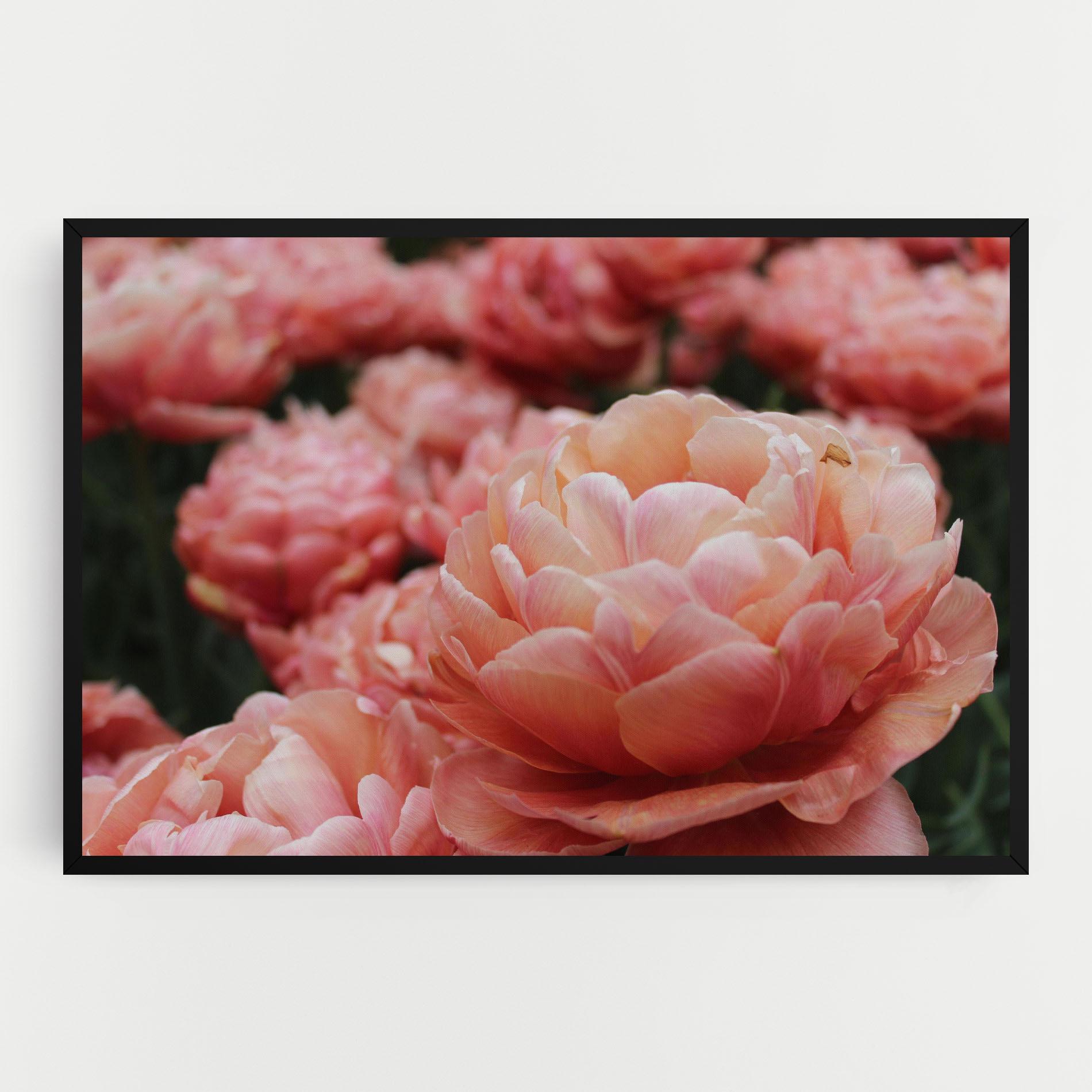 Obraz na Płótnie Light Orange Peony mockup 0