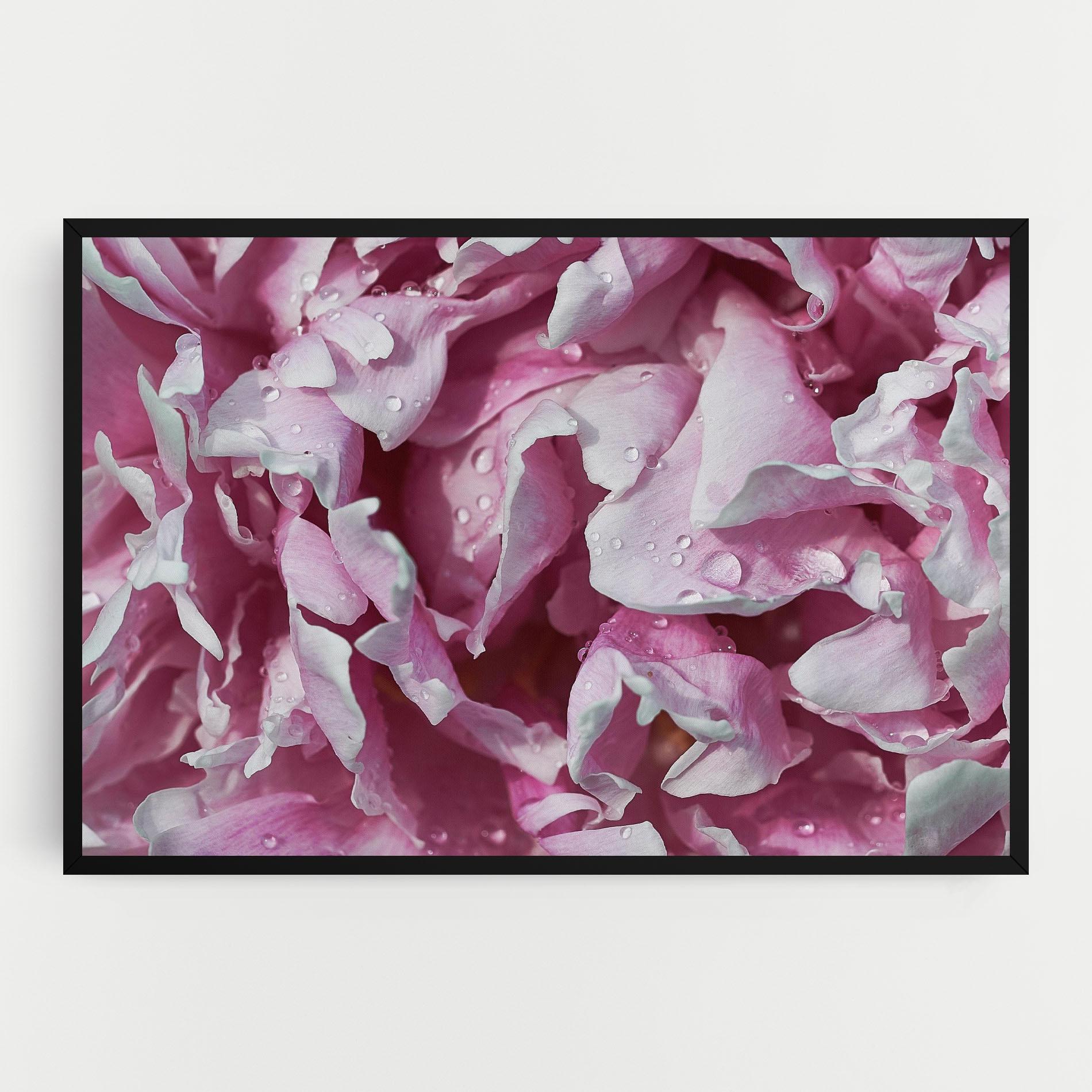 Obraz na Płótnie Peony Petals mockup 0