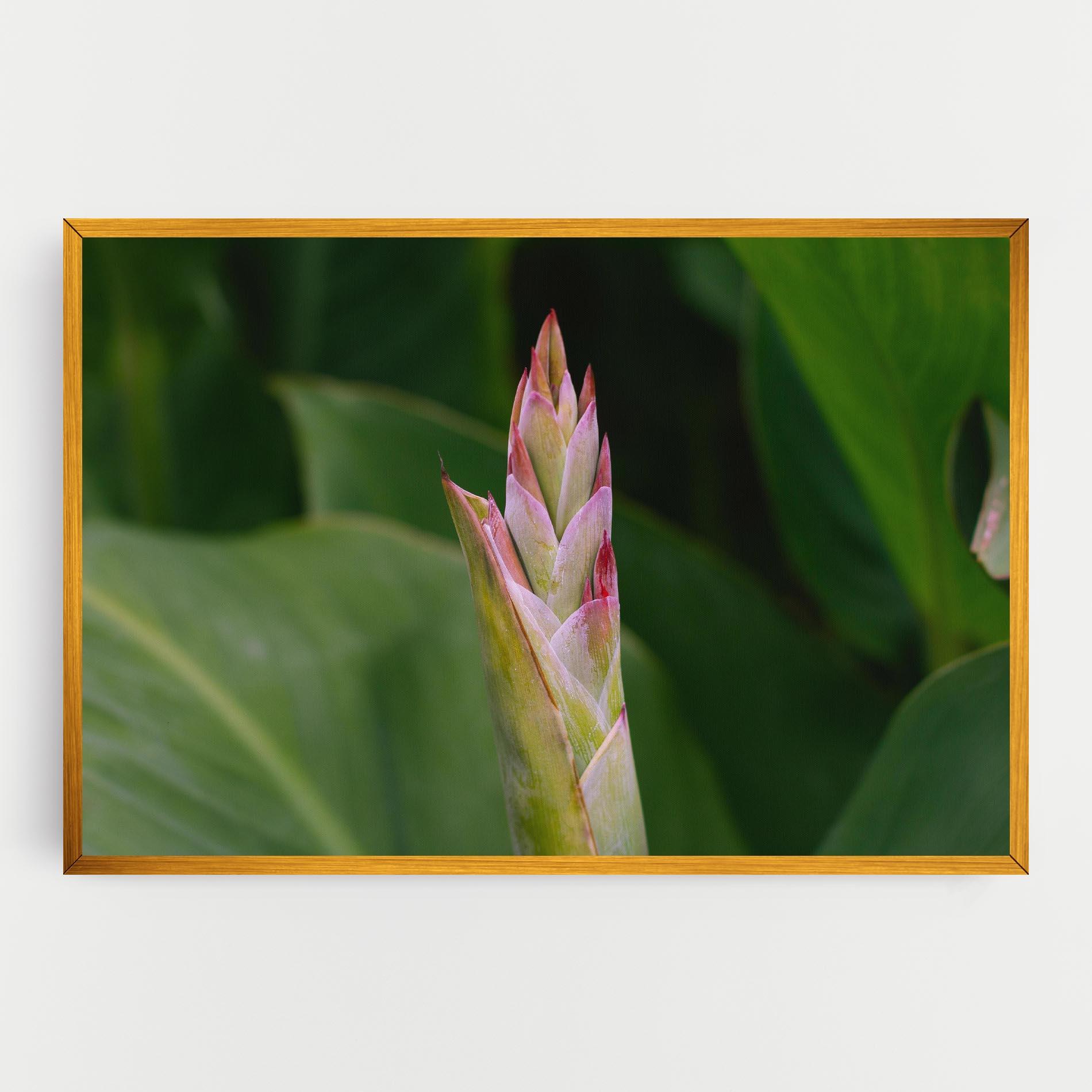 Obraz na Płótnie Light Pink Exotic mockup 0