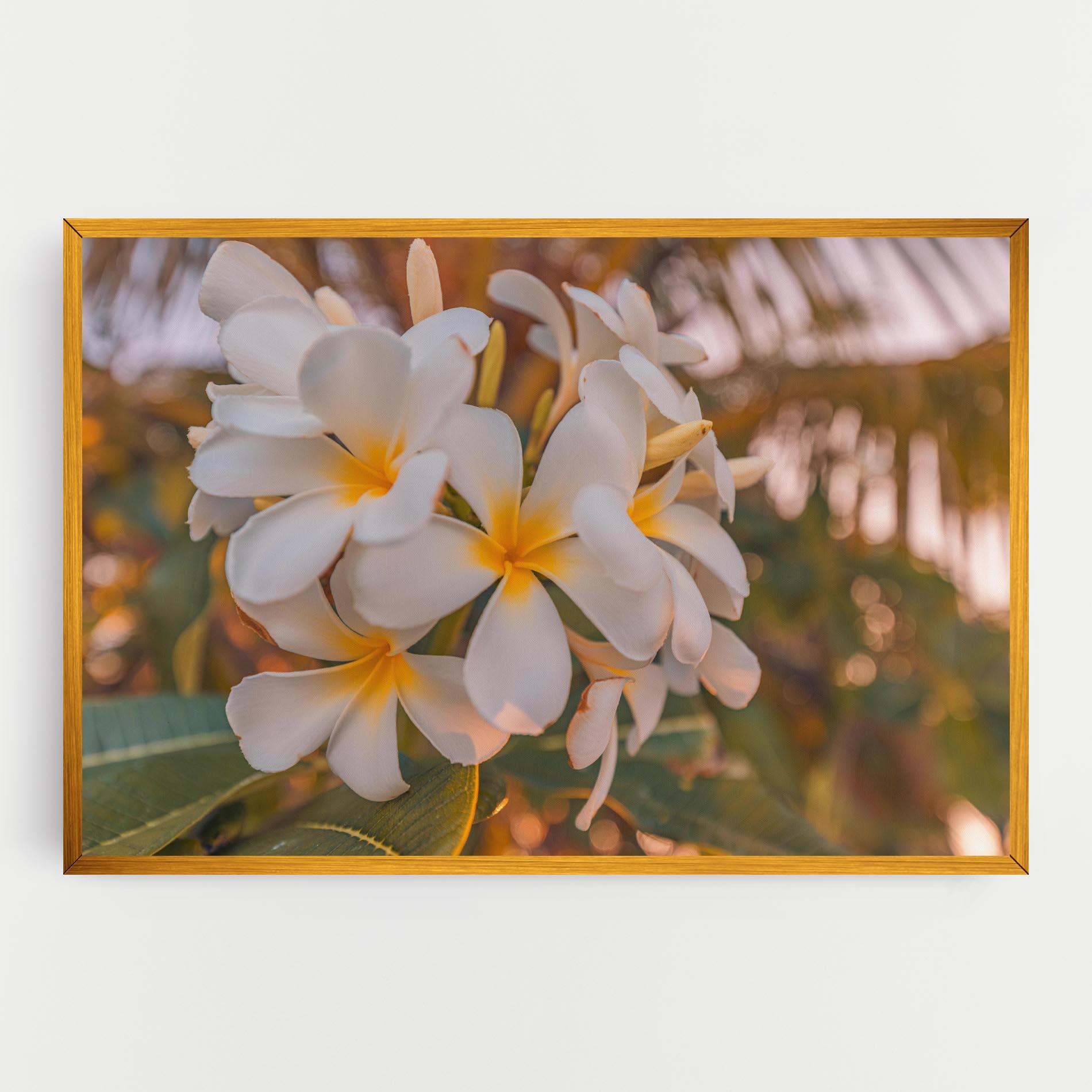 Obraz na Płótnie White Plumeria mockup 0
