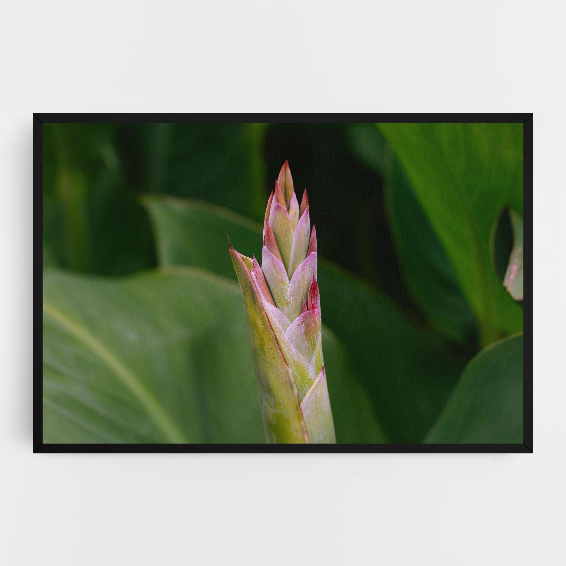 Obraz na Płótnie Light Pink Exotic mockup 0