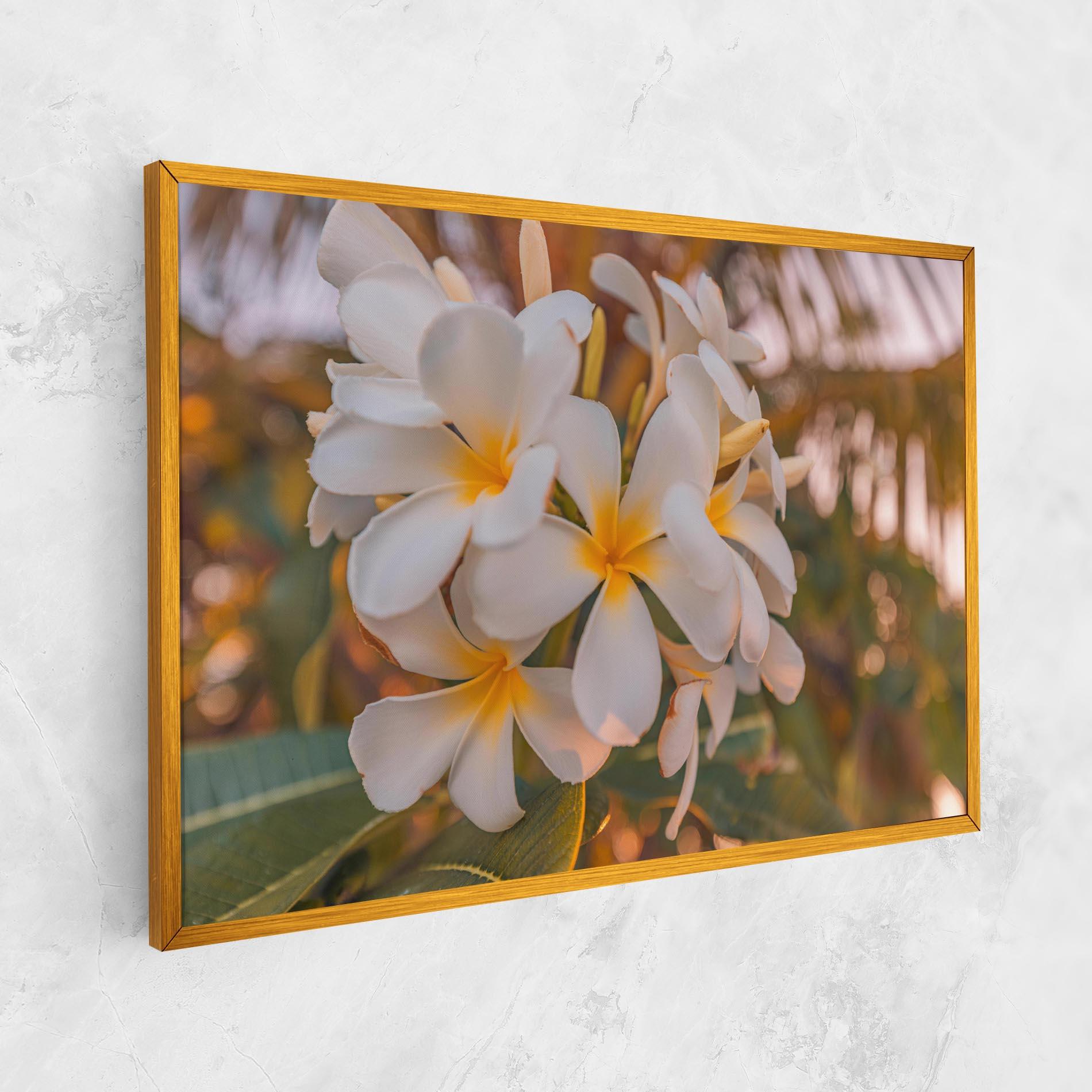 Obraz na Płótnie White Plumeria mockup 1