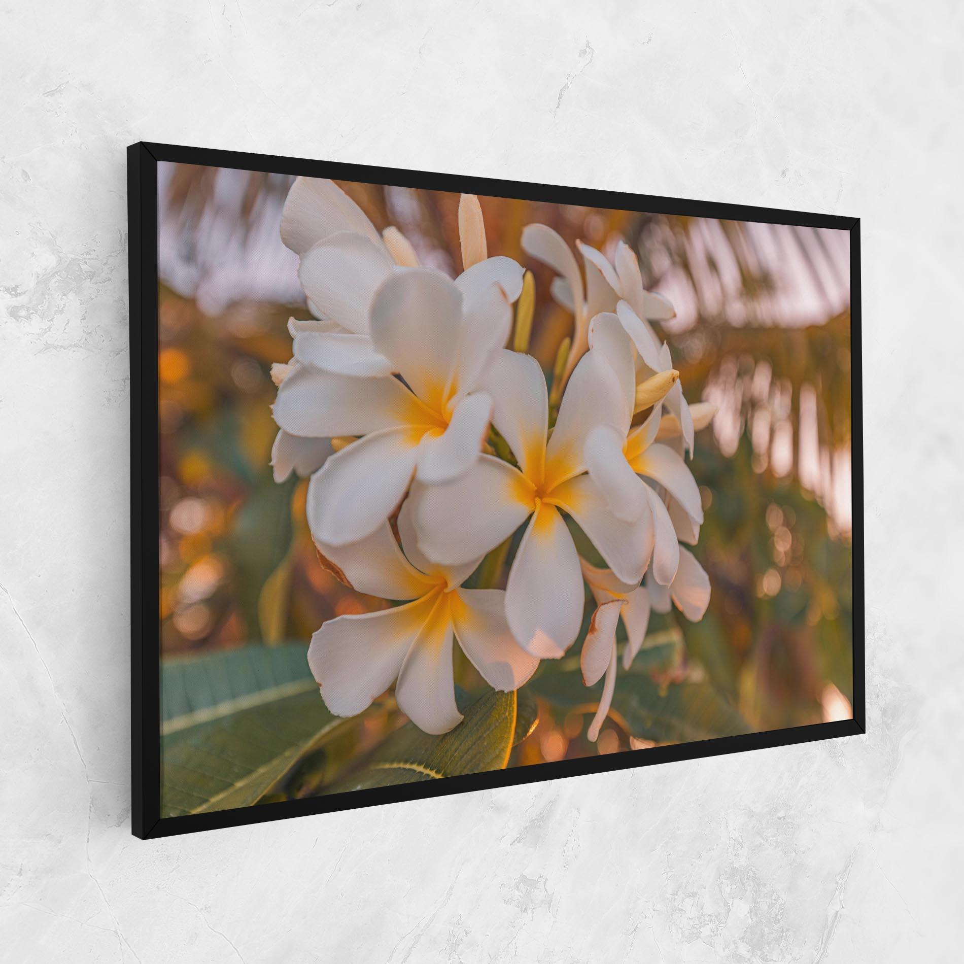 Obraz na Płótnie White Plumeria mockup 1