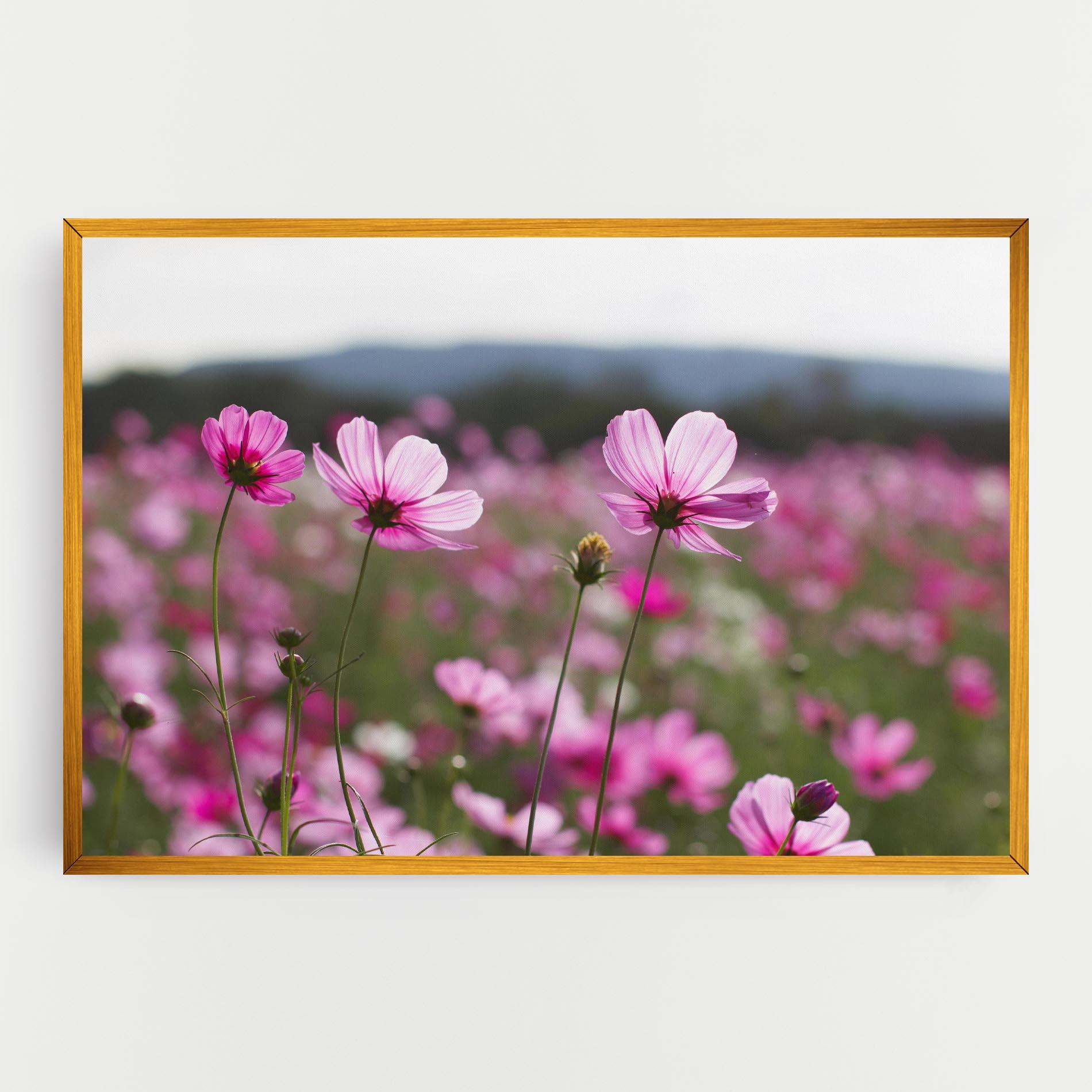 Obraz na Płótnie Cosmos Flower mockup 0