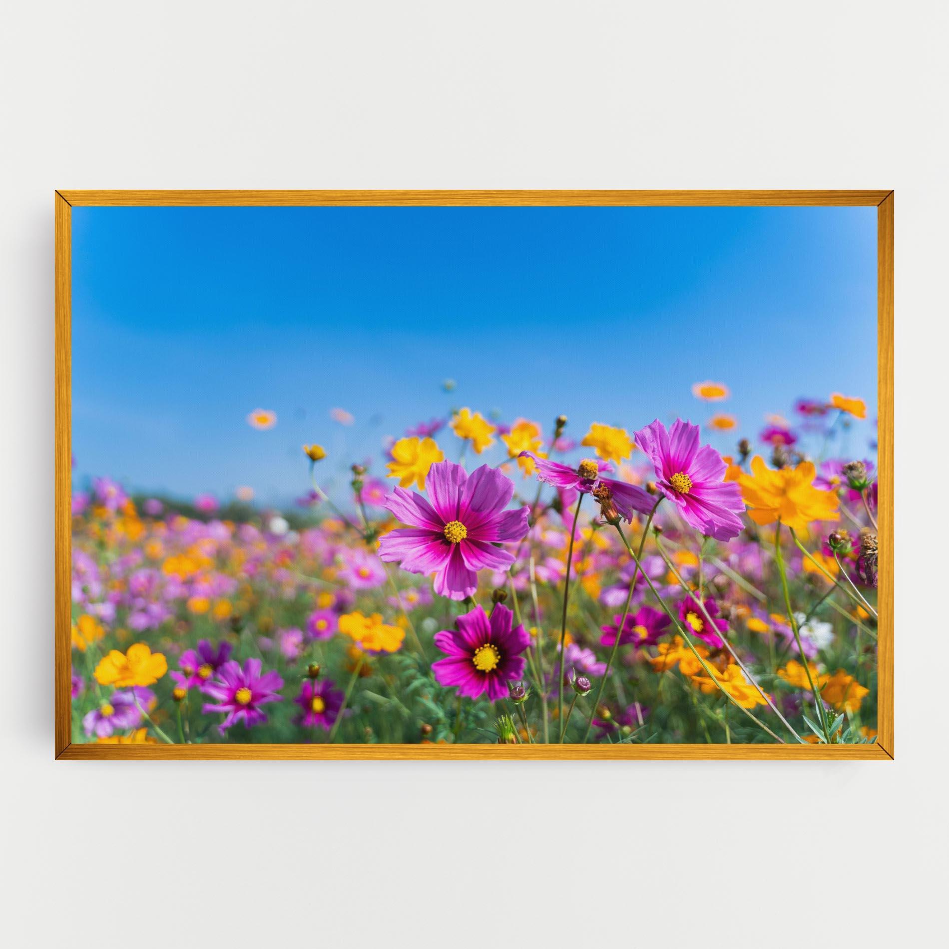 Obraz na Płótnie Cosmos Flowers Grassland mockup 0