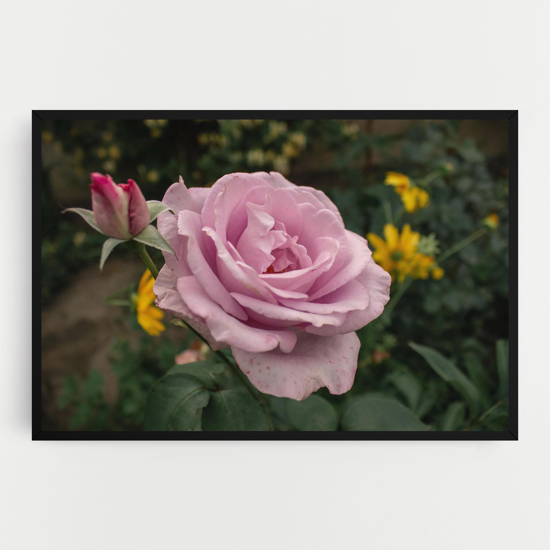Obraz na Płótnie Garden Pink Rose mockup 0