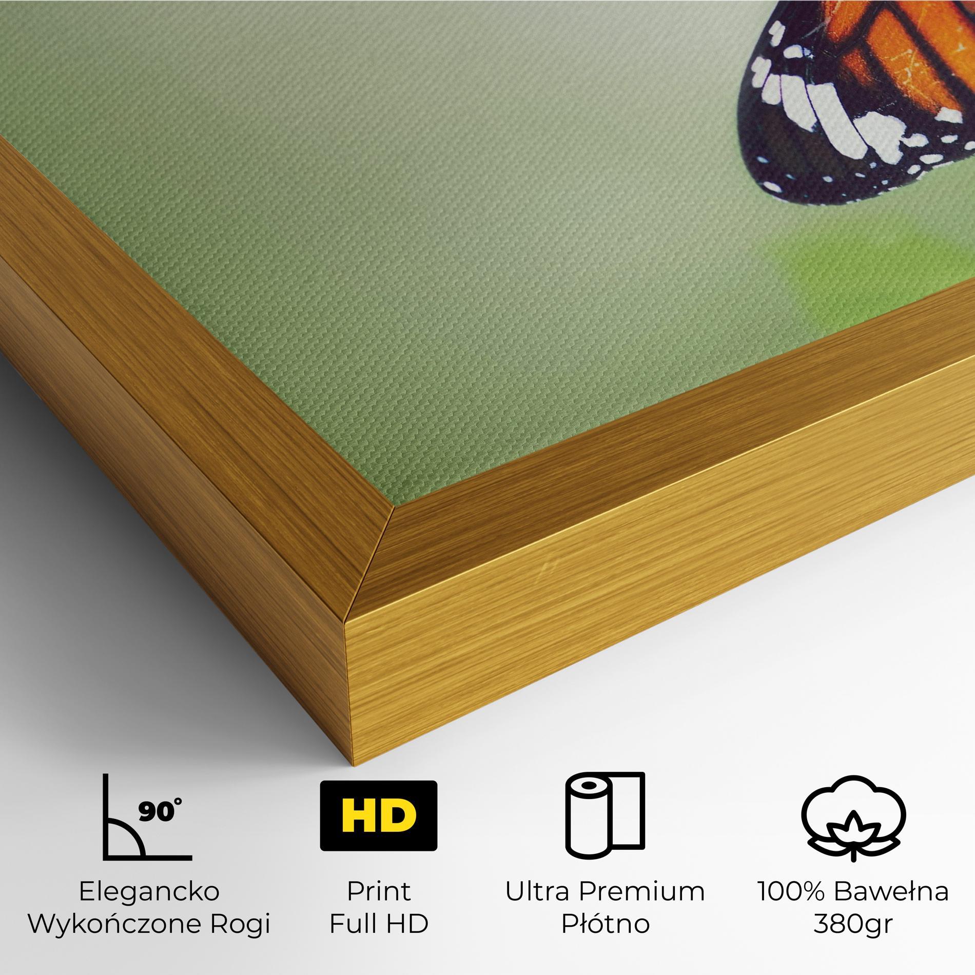 Obraz na Płótnie Butterfly Wild Plant mockup 4