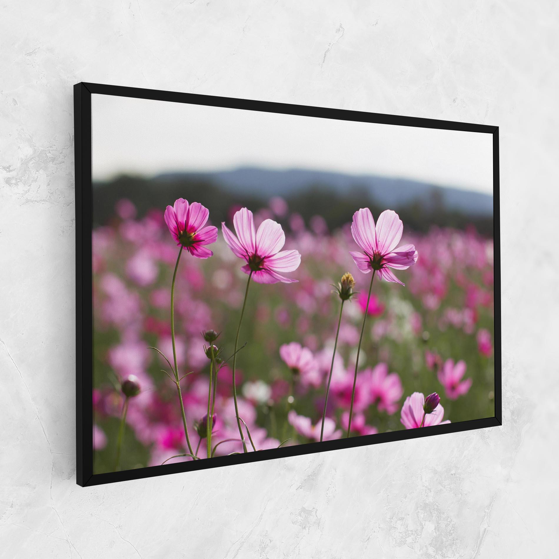 Obraz na Płótnie Cosmos Flower mockup 1