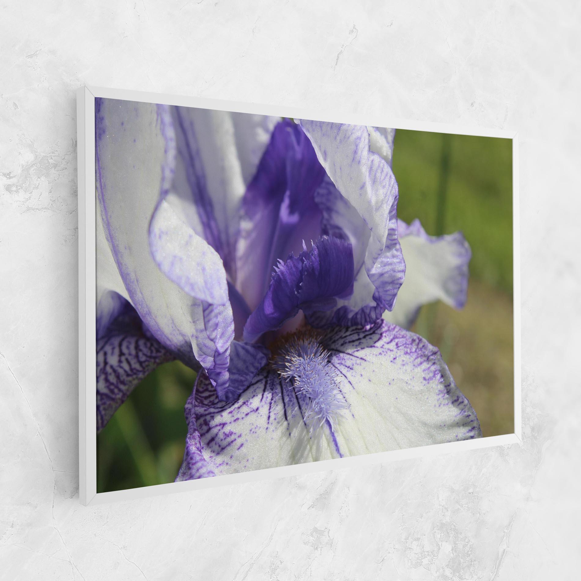Obraz na Płótnie White Purple Iris mockup 1