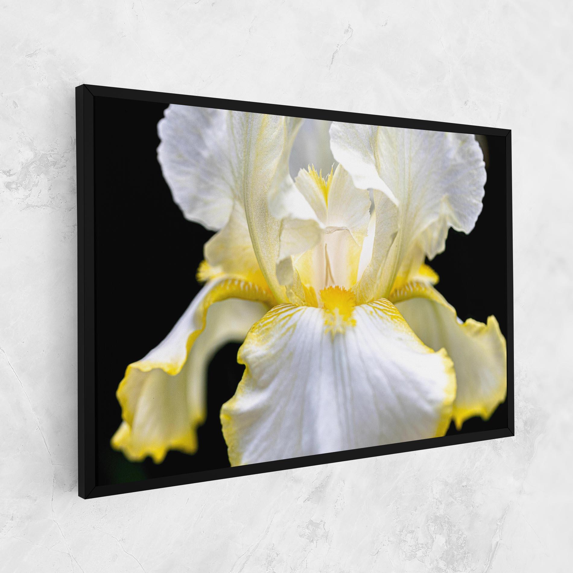 Obraz na Płótnie White Yellow Iris mockup 1