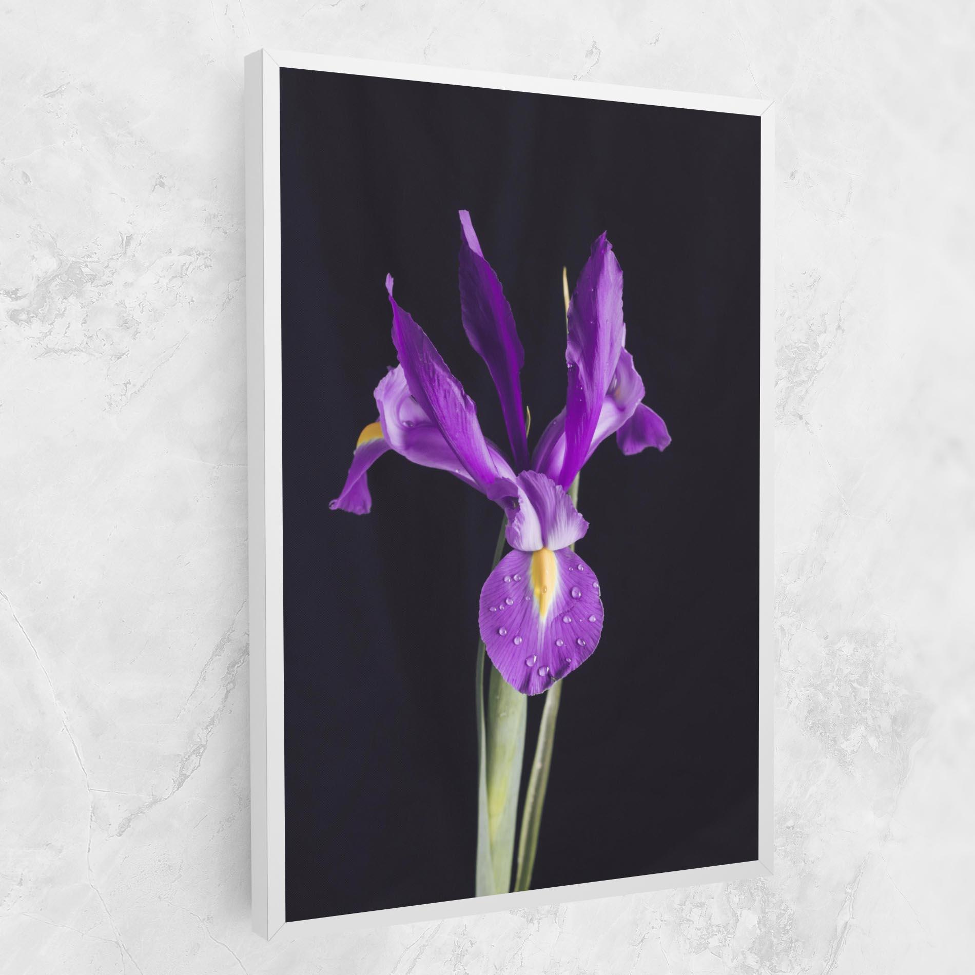 Obraz na Płótnie Fresh Purple Iris mockup 1