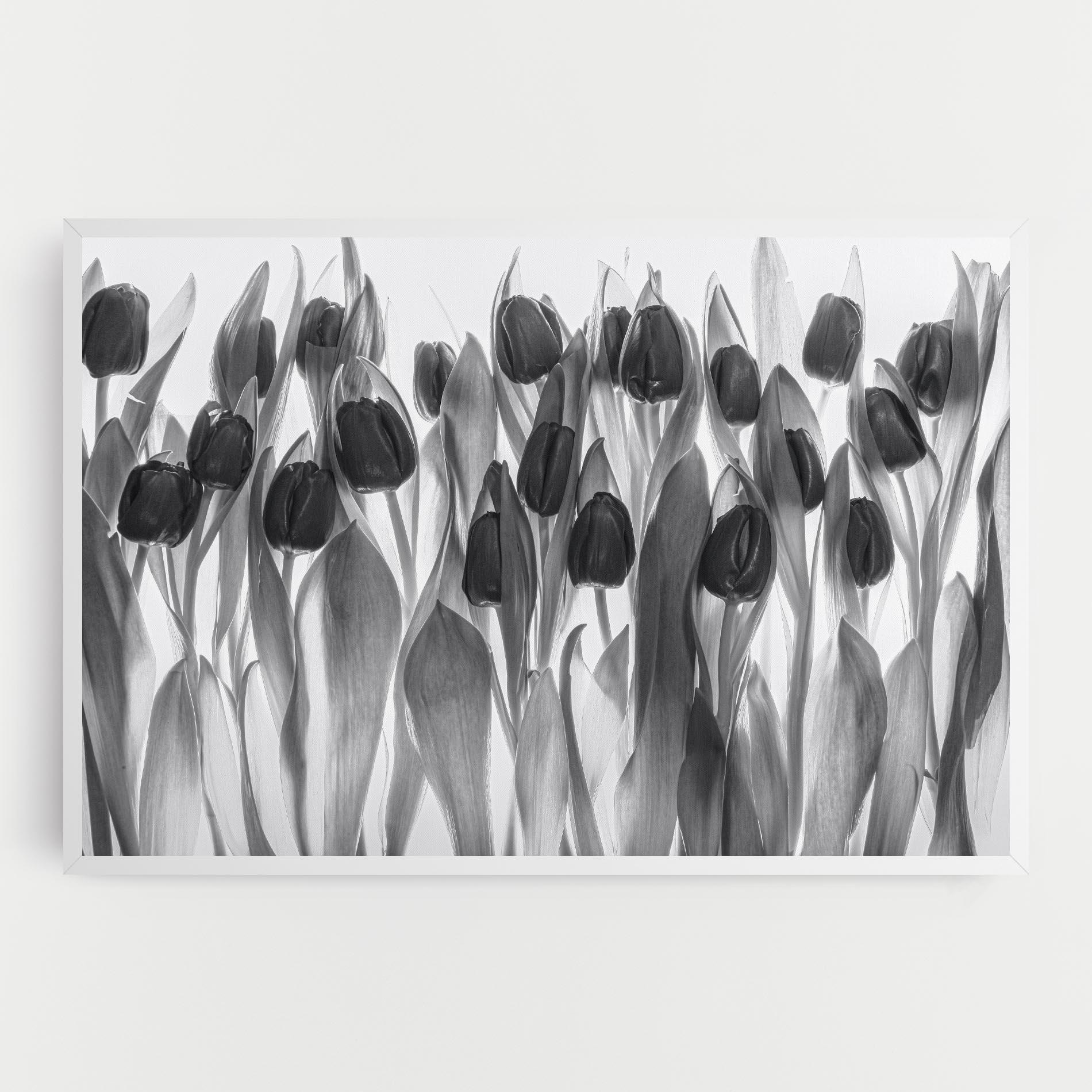 Obraz na Płótnie Grey Tulips mockup 0